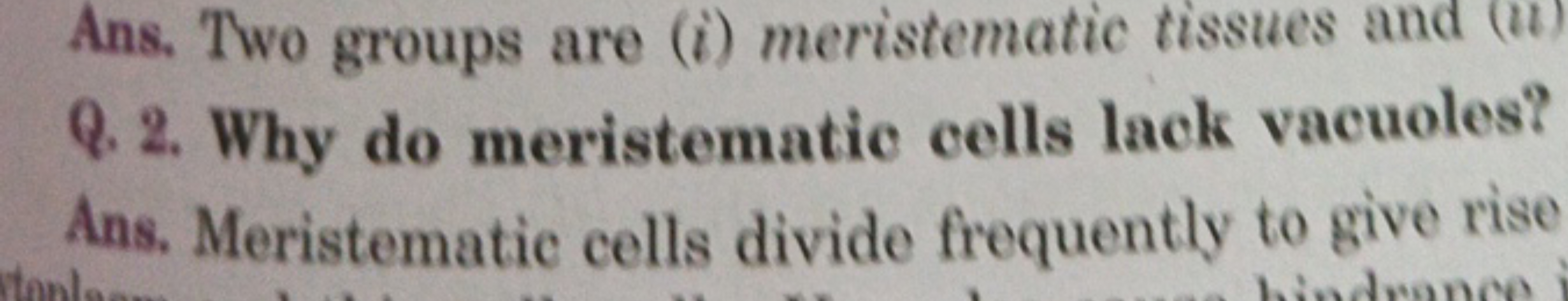 Ans. Two groups are (i) meristematic tissues and ( (1) Q. 2. Why do me