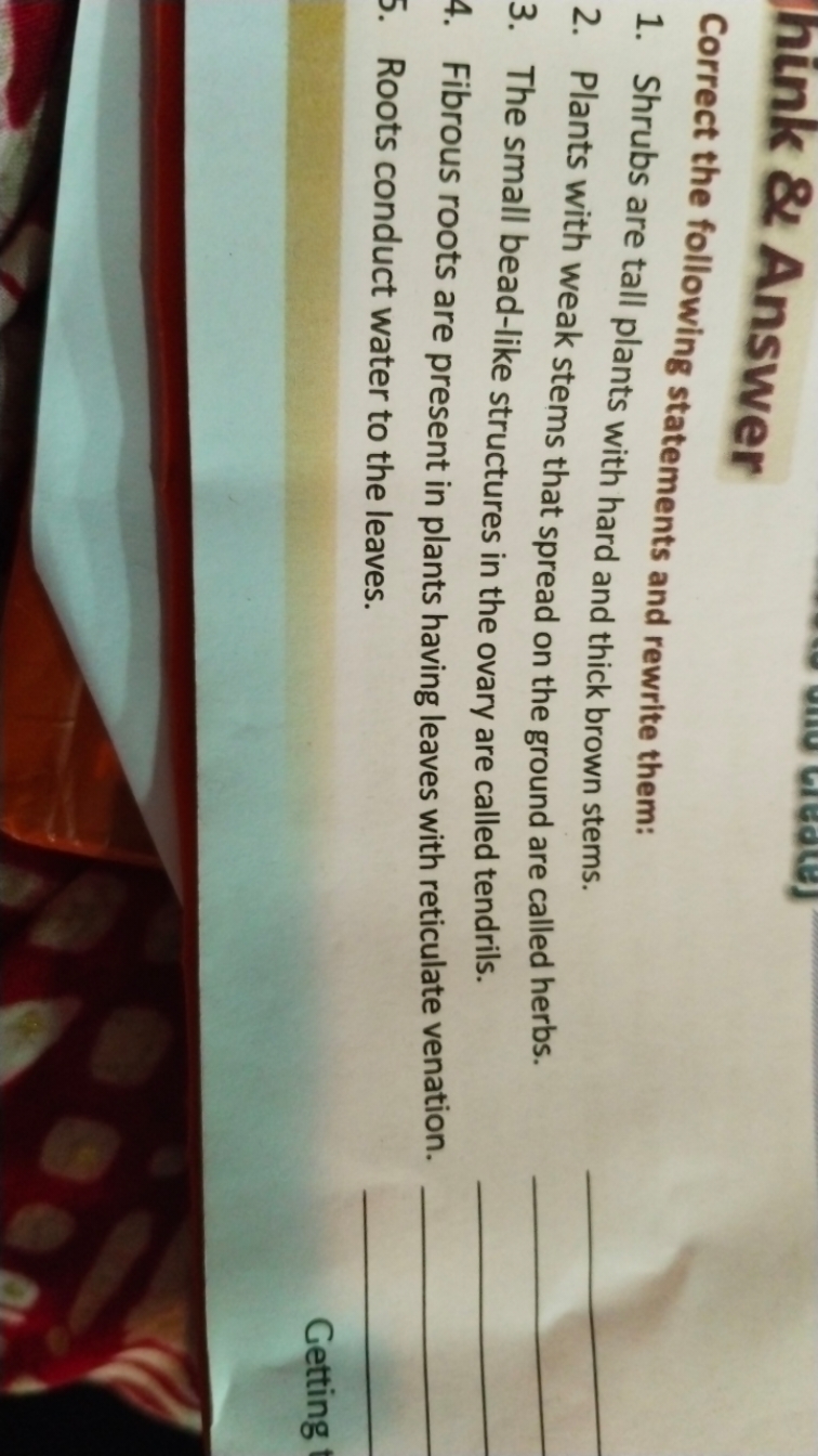 hink \& Answer
Correct the following statements and rewrite them:
1. S