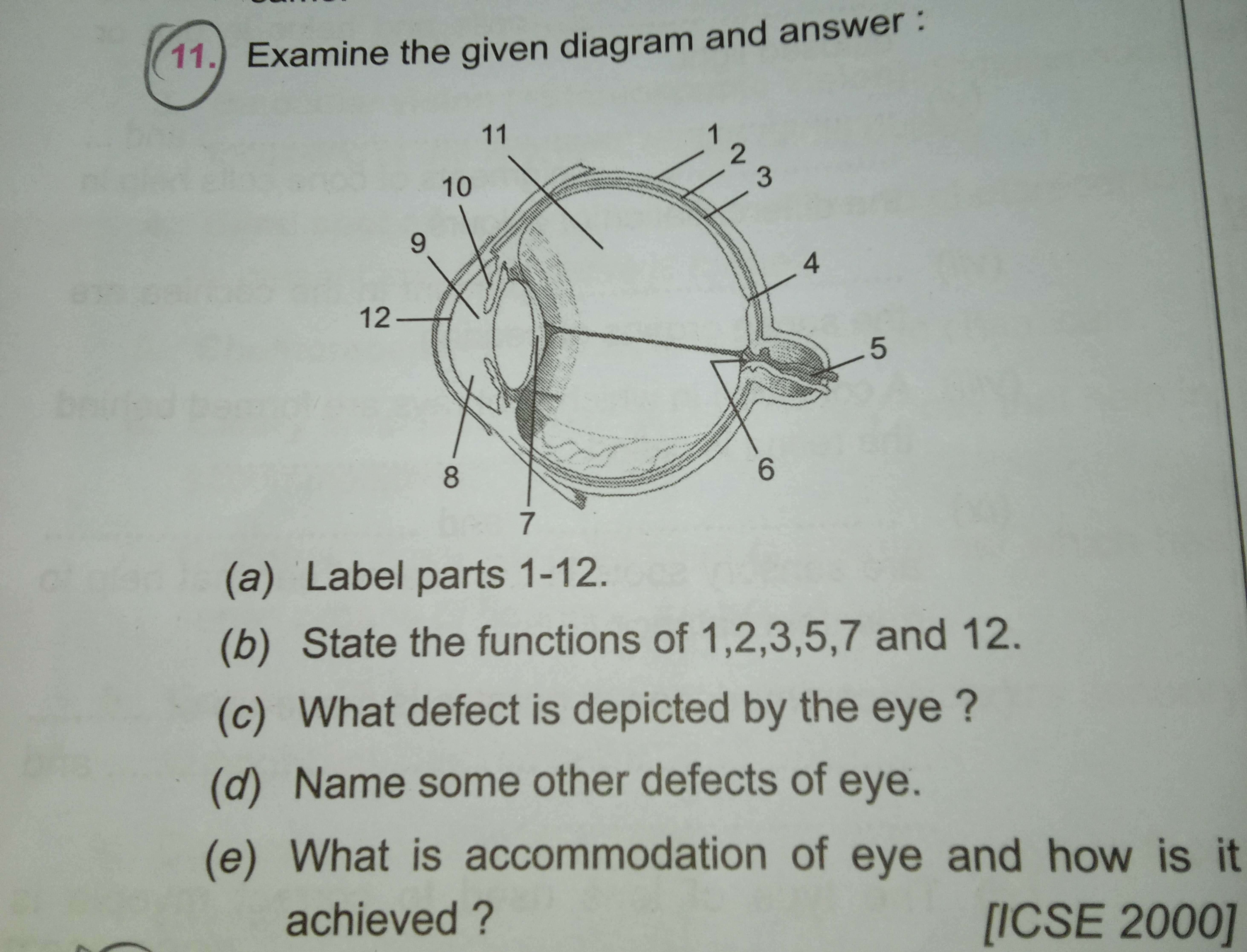 11. Examine the given diagram and answer:
1
11
10
9
12
23
4
-5
8
7
(a)