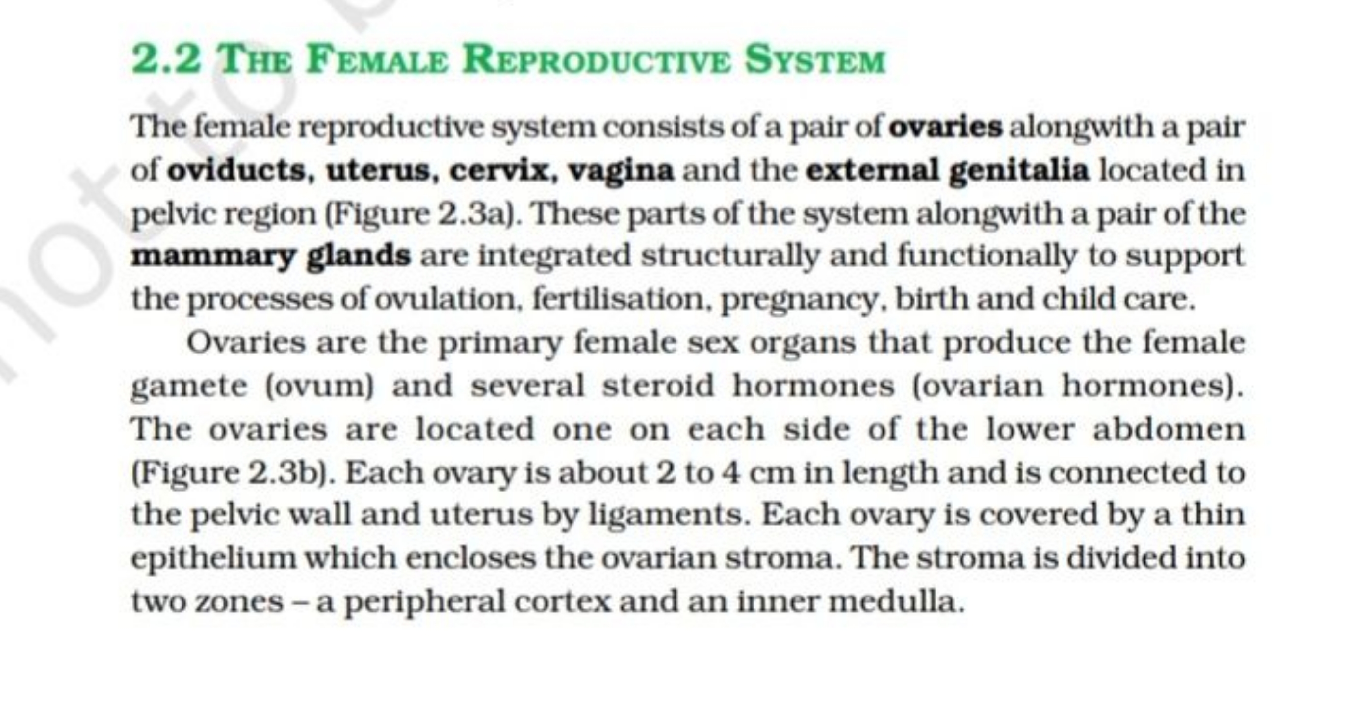 2.2 The Female Reproductive System

The female reproductive system con