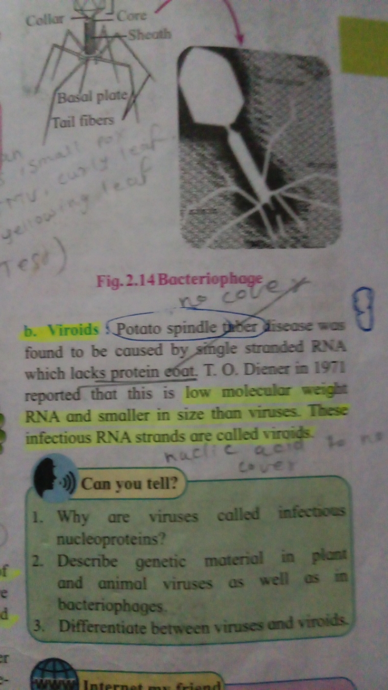 Fig. 2.14 Bacteriophage
b. Viroids Potato spindle giber lisease was
8
