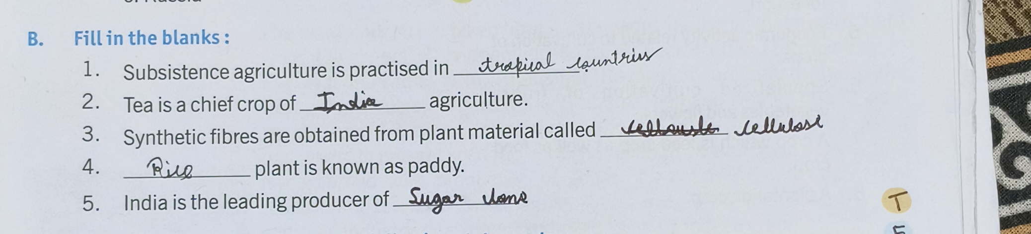 B. Fill in the blanks:
1. Subsistence agriculture is practised in  tro