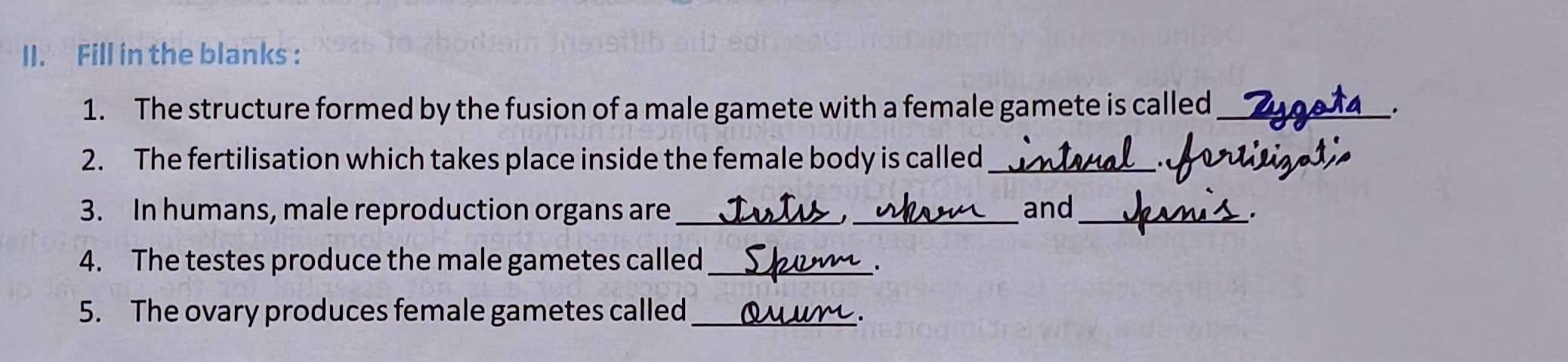 II. Fill in the blanks:
1. The structure formed by the fusion of a mal