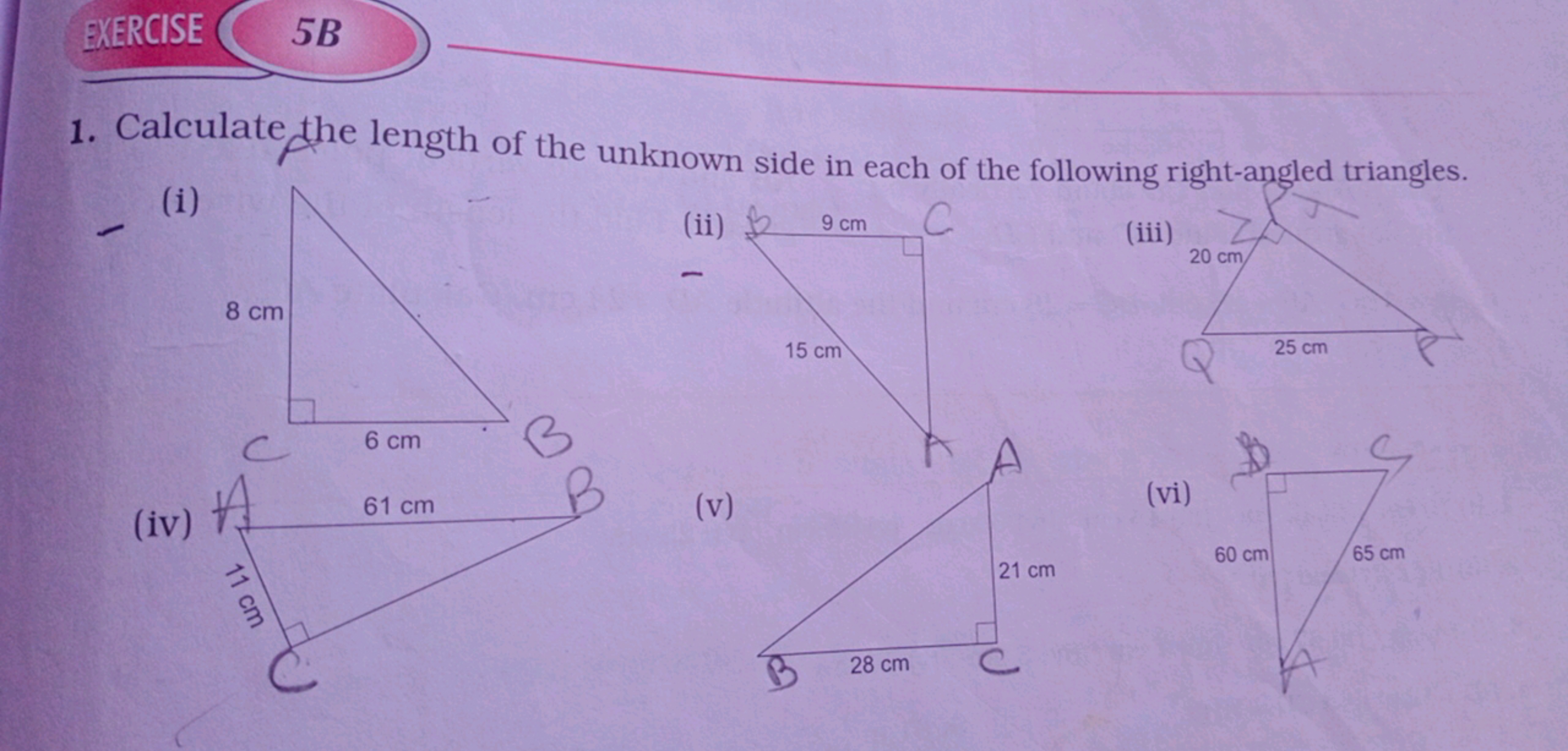 3XERCISE
5B
1. Calculate the length of the unknown side in each of the