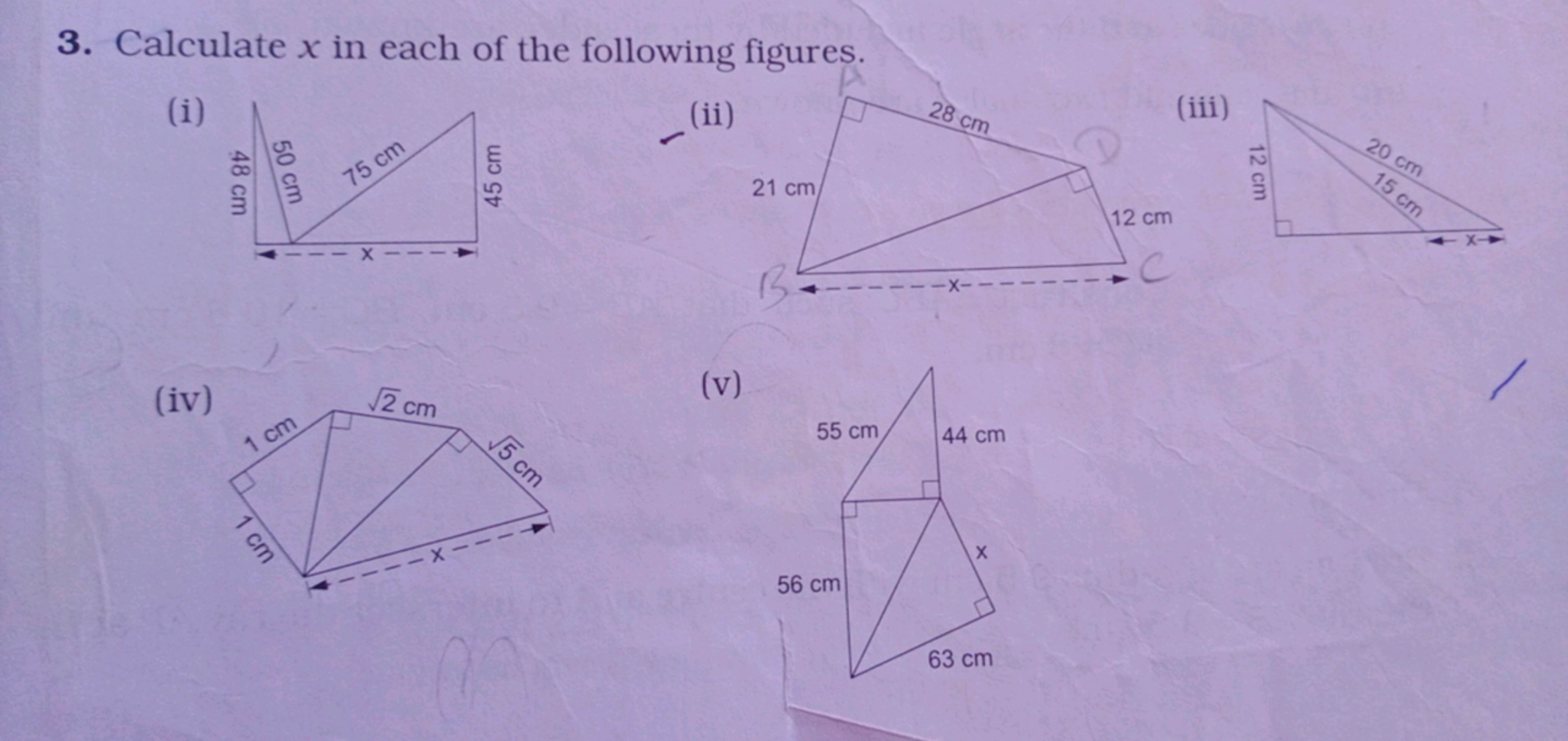 3. Calculate x in each of the following figures.
(i)
(iv) (ii) (v)
(ii