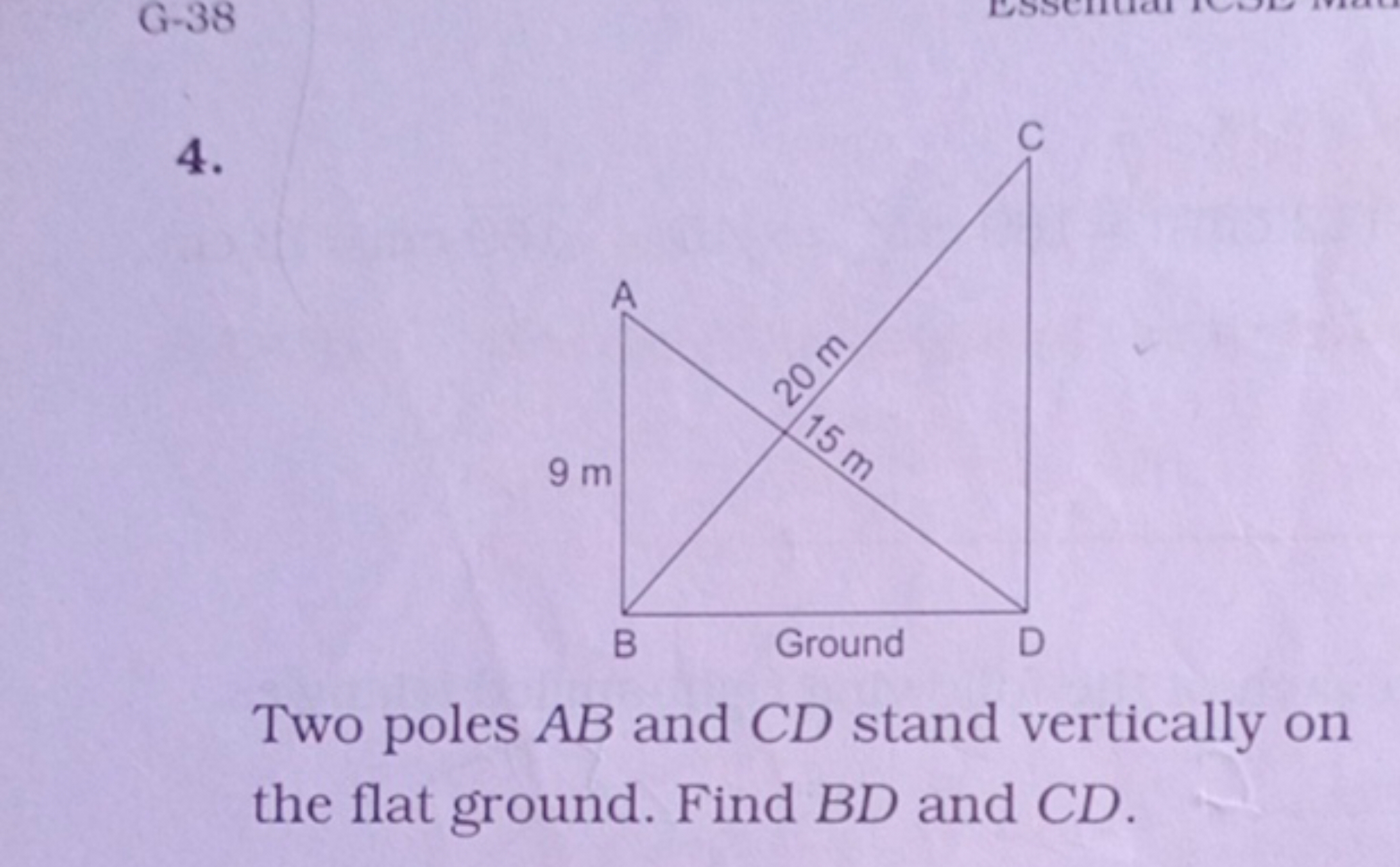 4.

Two poles AB and CD stand vertically on the flat ground. Find BD a