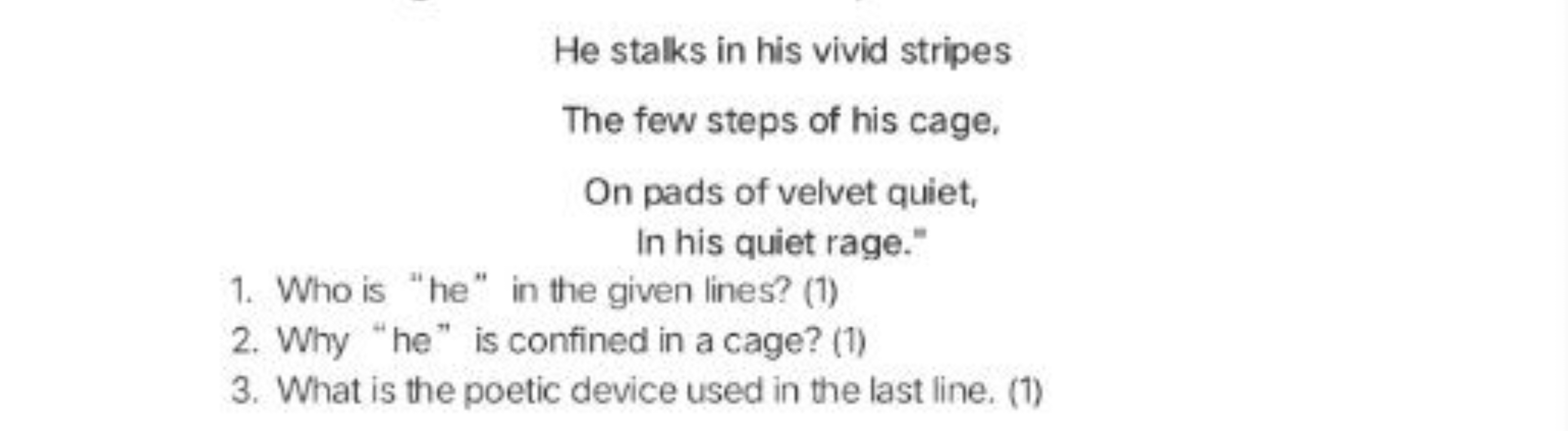 He stalks in his vivid stripes
The few steps of his cage.
On pads of v