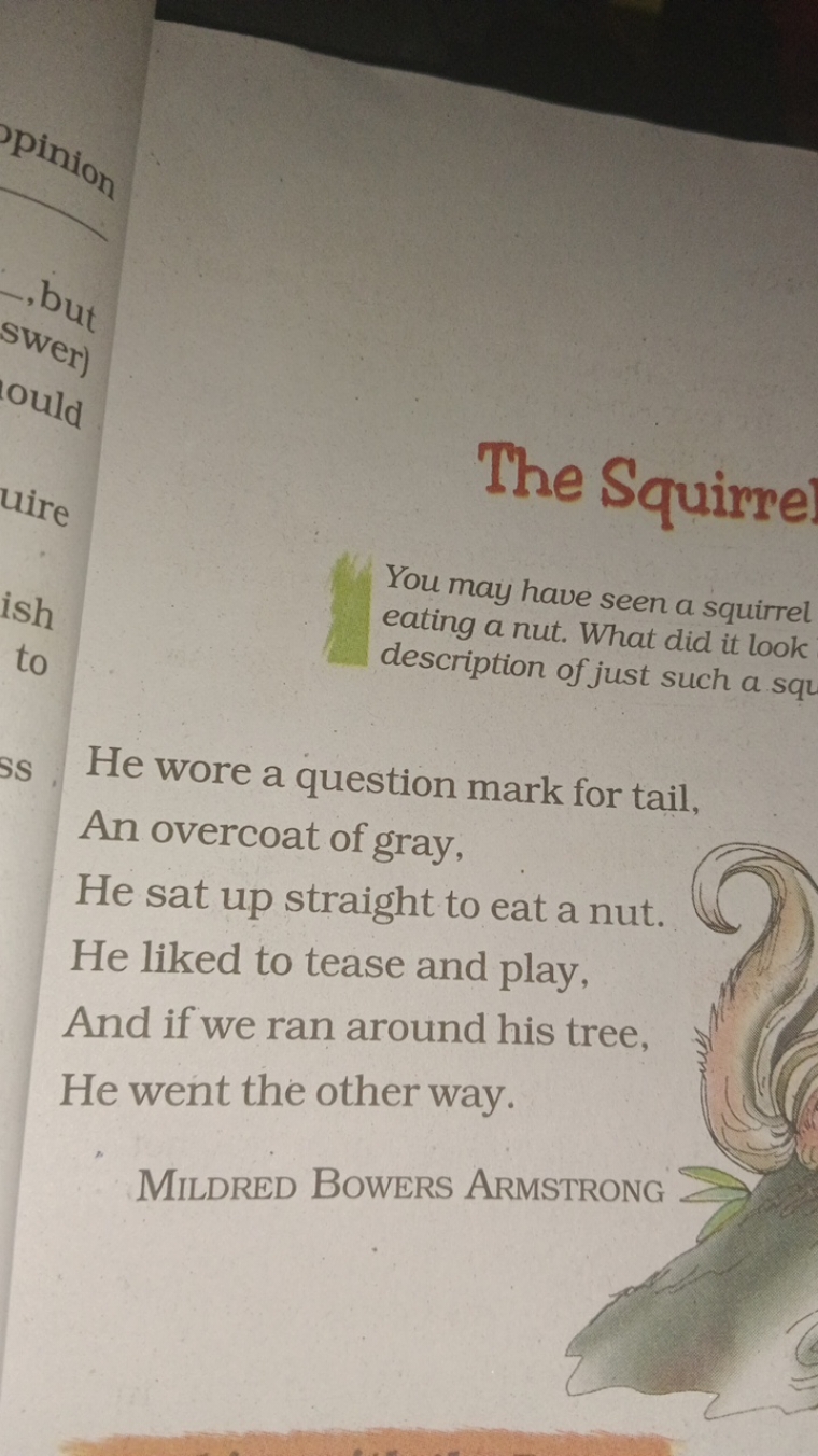 The Squirre
You may have seen a squirrel eating a nut. What did it loo