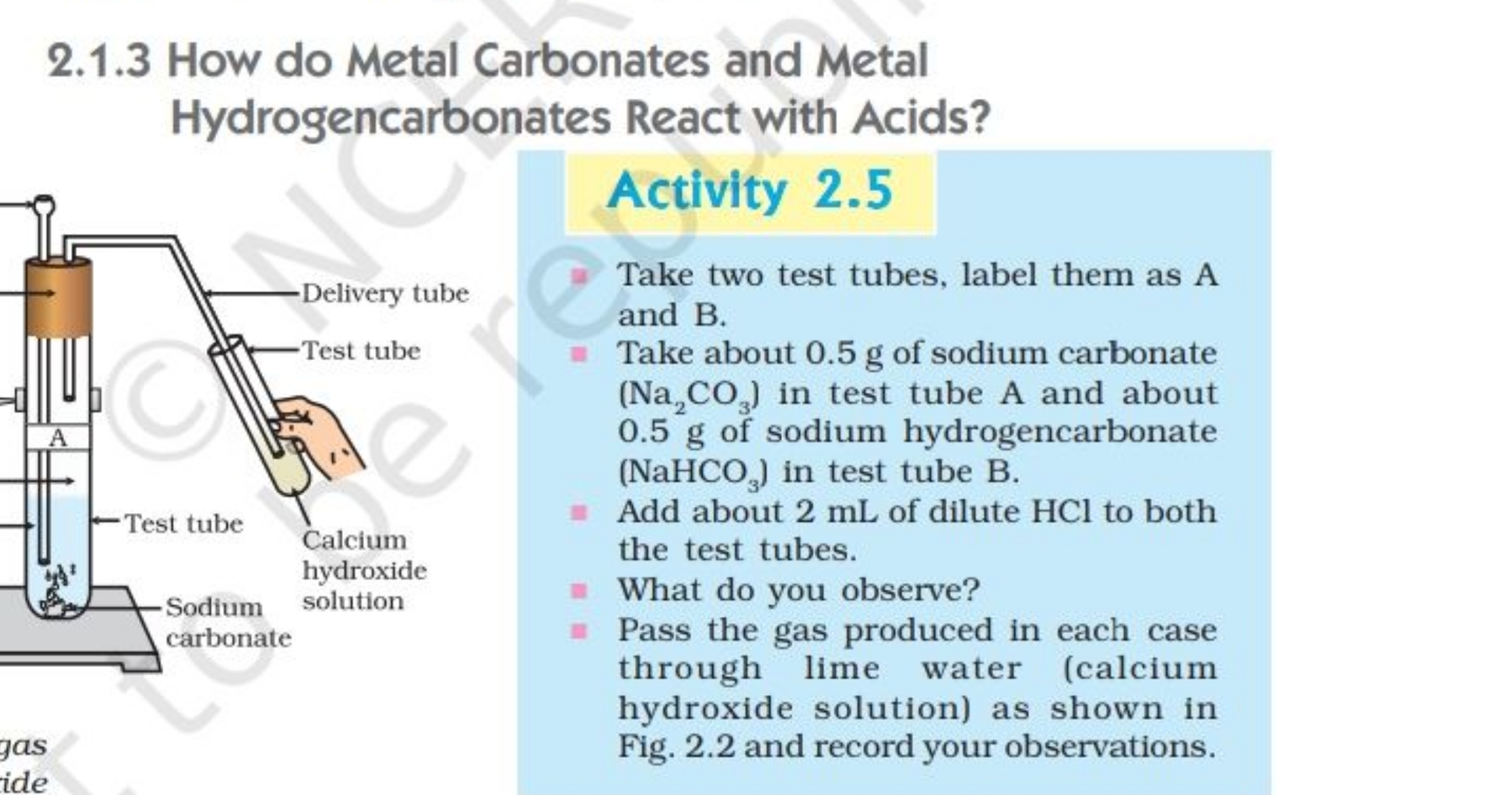 2.1.3 How do Metal Carbonates and Metal Hydrogencarbonates React with 