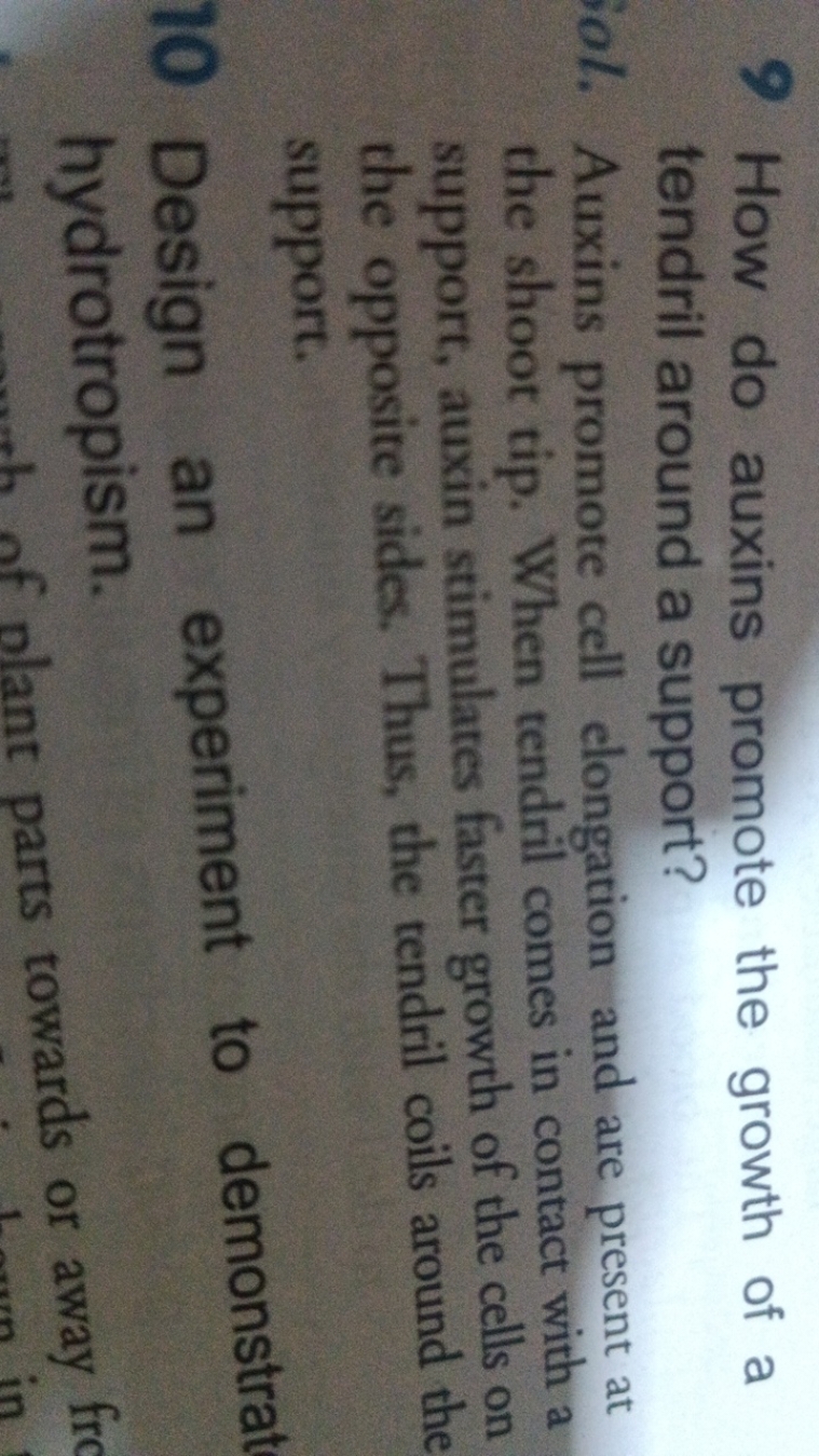 9 How do auxins promote the growth of a tendril around a support?
iol.