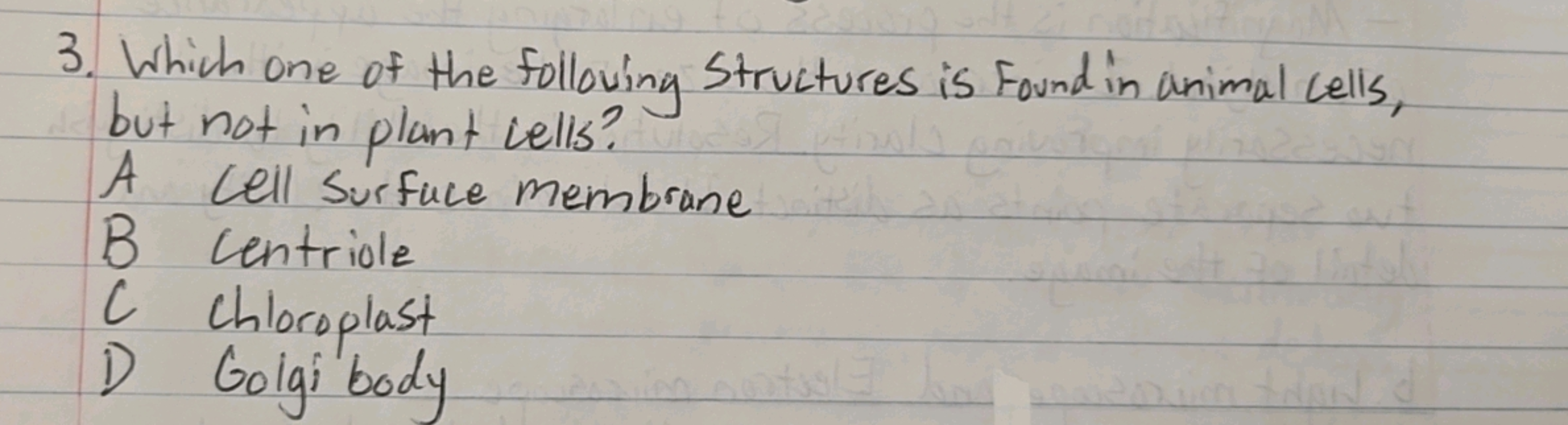 3. Which one of the following structures is found in animal cells, but