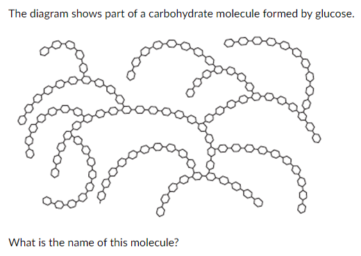 The diagram shows part of a carbohydrate molecule formed by glucose.

