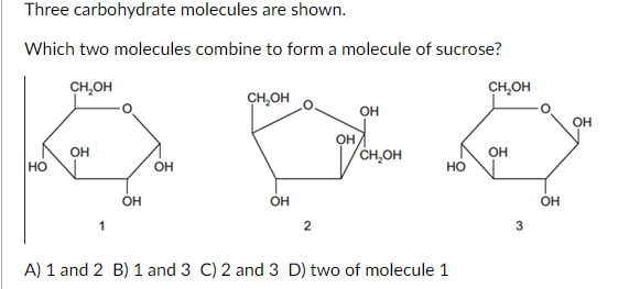 Three carbohydrate molecules are shown.
Which two molecules combine to