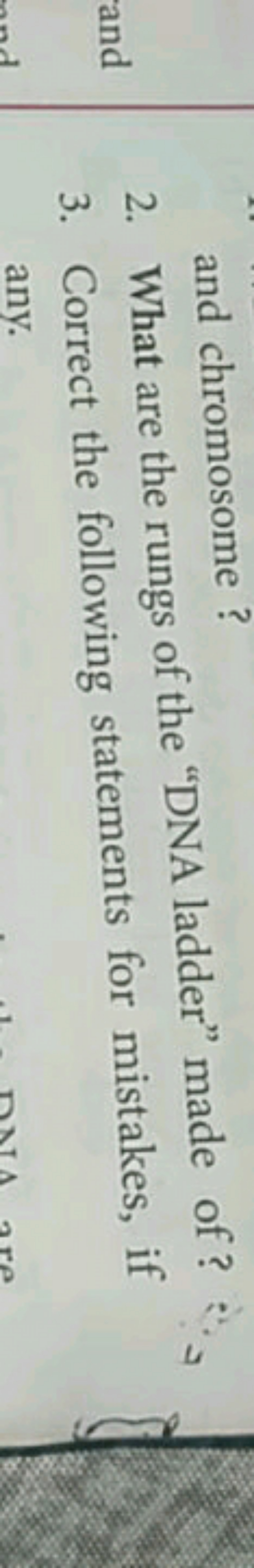 and chromosome?
2. What are the rungs of the "DNA ladder" made of?
3. 