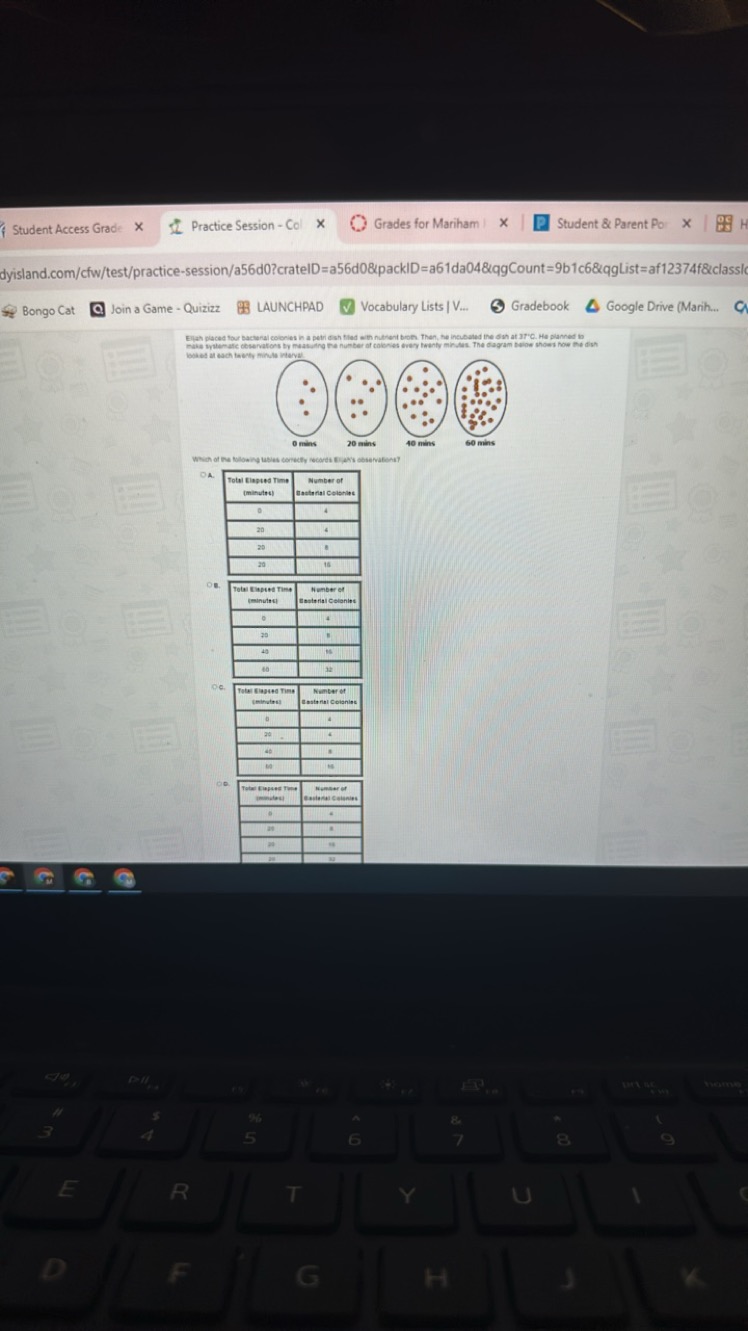 f Student Access Grad:
Practice Session - Co
Grades for Mariham
Studen