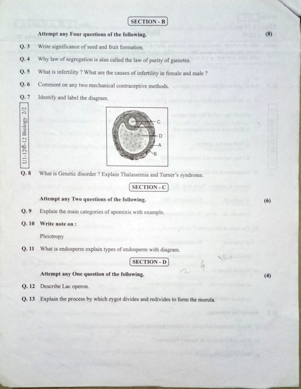 SECTION - B
Attempt any Four questions of the following.
Q. 3 Write si