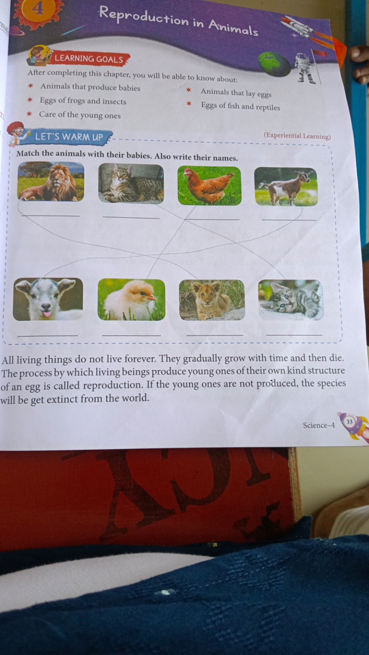 45 Reproduction in Animals

LEARNING GOALS
After completing this chapt