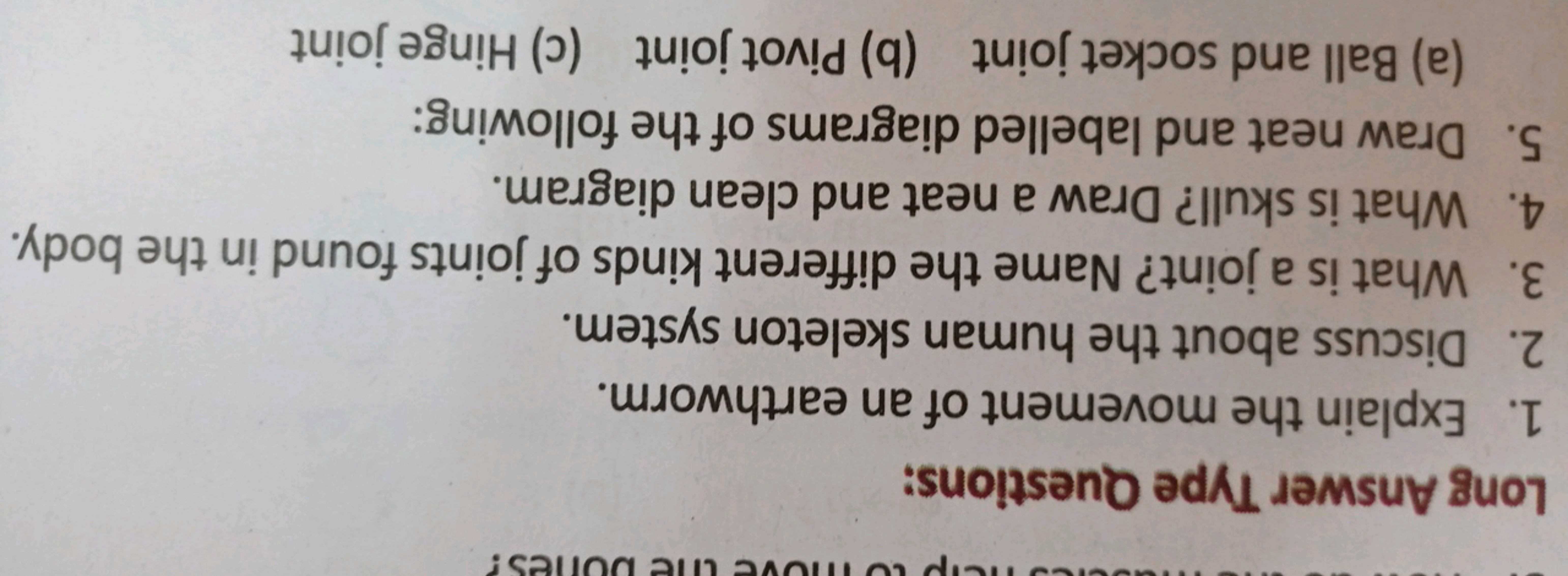 Help to move CIT
ve the bones?
Long Answer Type Questions:
1. Explain 