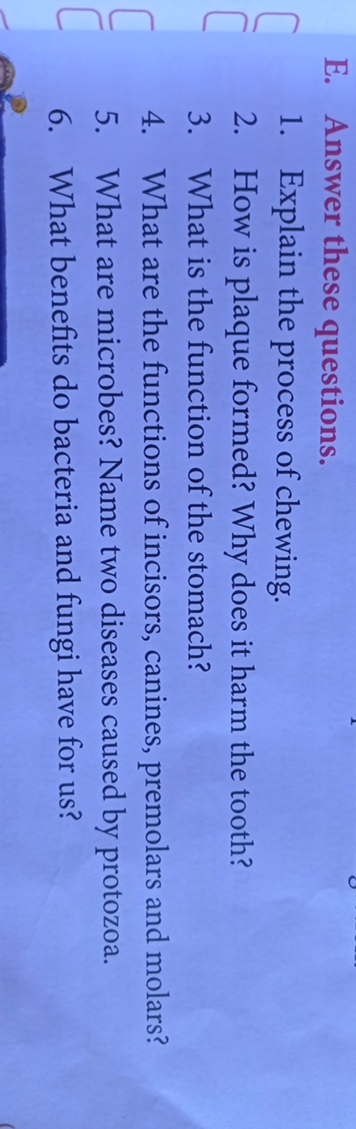 E. Answer these questions.
1. Explain the process of chewing.
2. How i