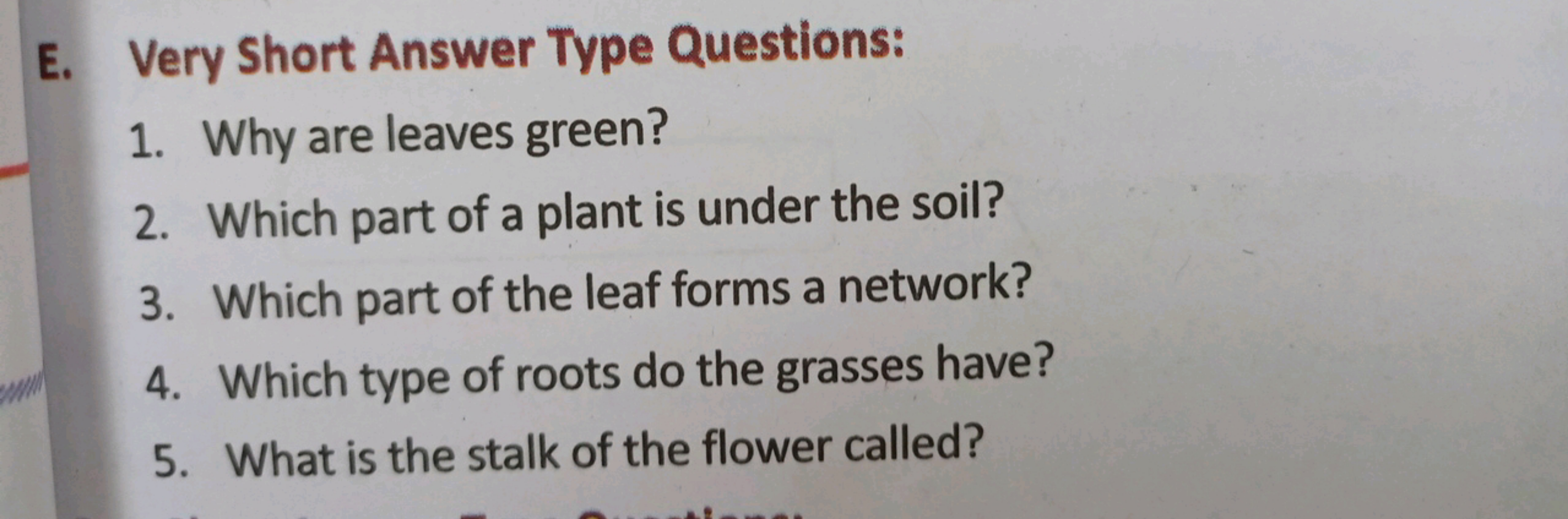 E. Very Short Answer Type Questions:
1. Why are leaves green?
2. Which