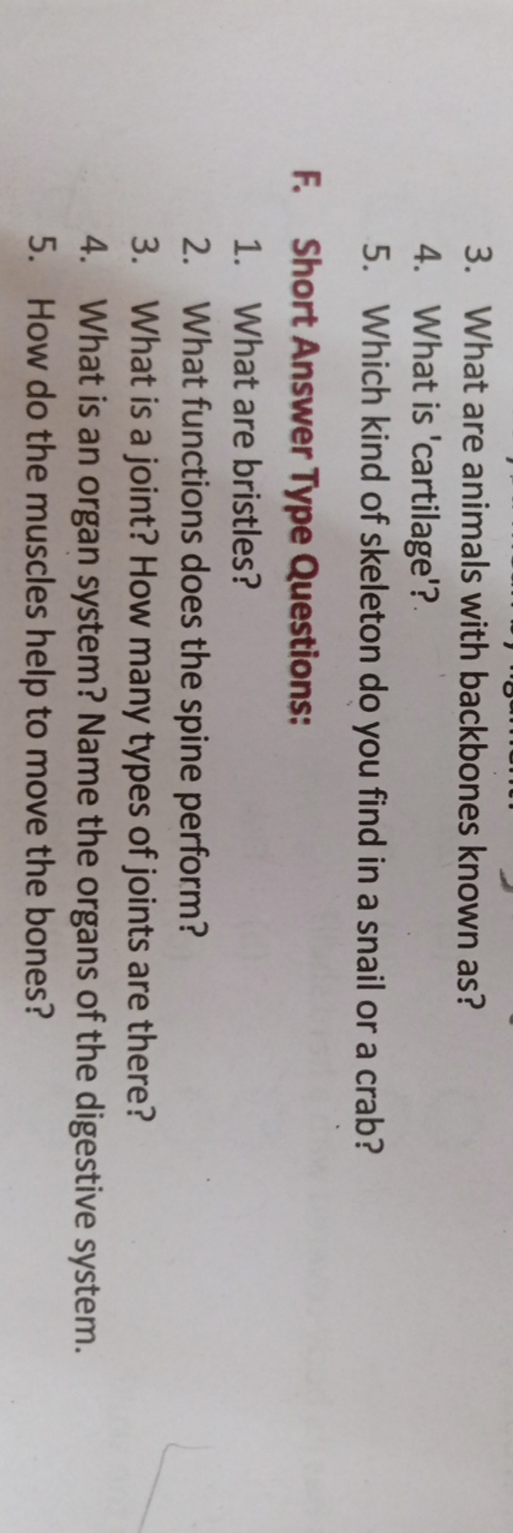 3. What are animals with backbones known as?
4. What is 'cartilage'?
5