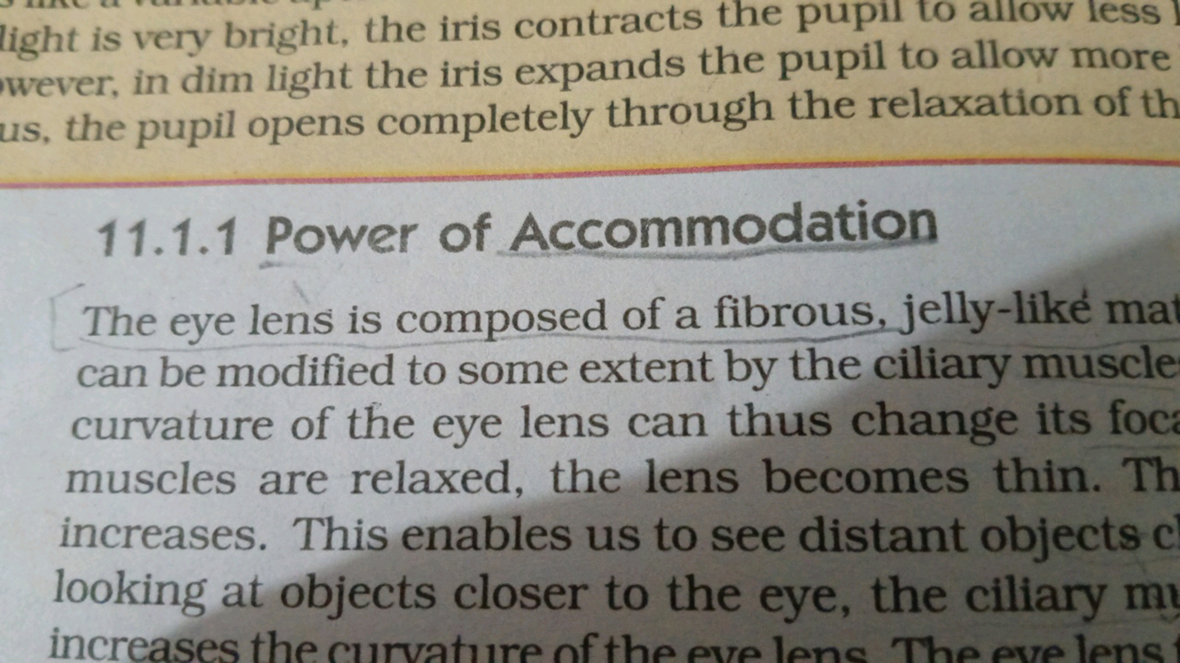 light is very bright, the iris contracts the pupil to allow less wever