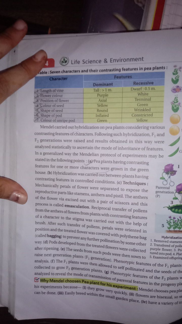 Life Science \& Environment
able : Seven characters and their contrast