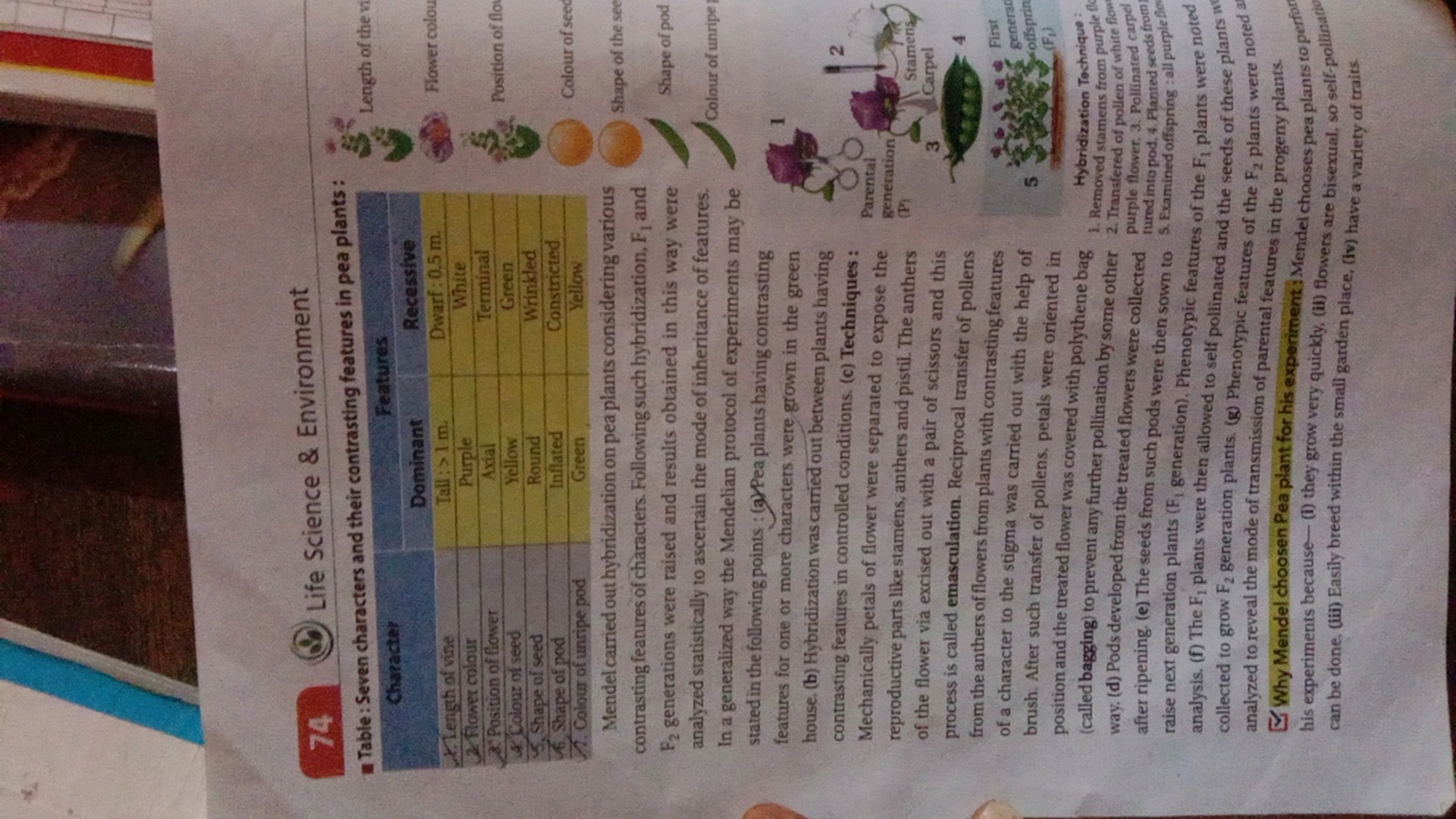 74 (10) Life Science \& Environment
Table : Seven characters and their