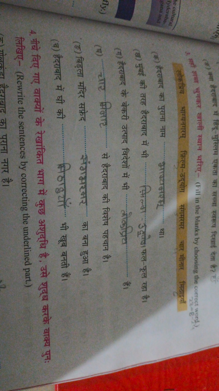 (8) क्या हैदराबाद में हिंदू-मुस्लिम एकता का सच्चा स्वरूप दिखाई देता है