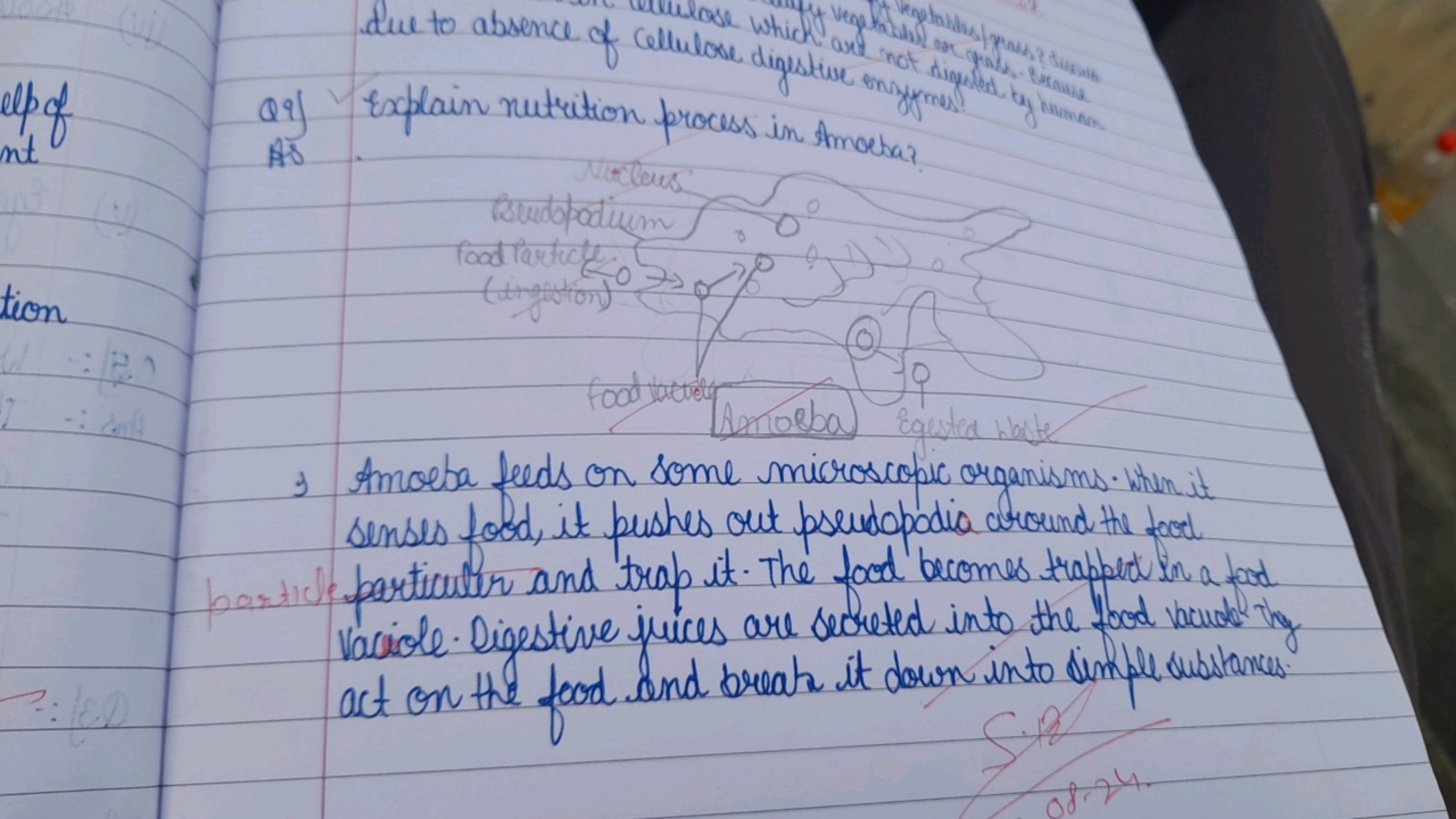 
due to absence of cellulose which out andelpof
Q9) Explain nutrition 