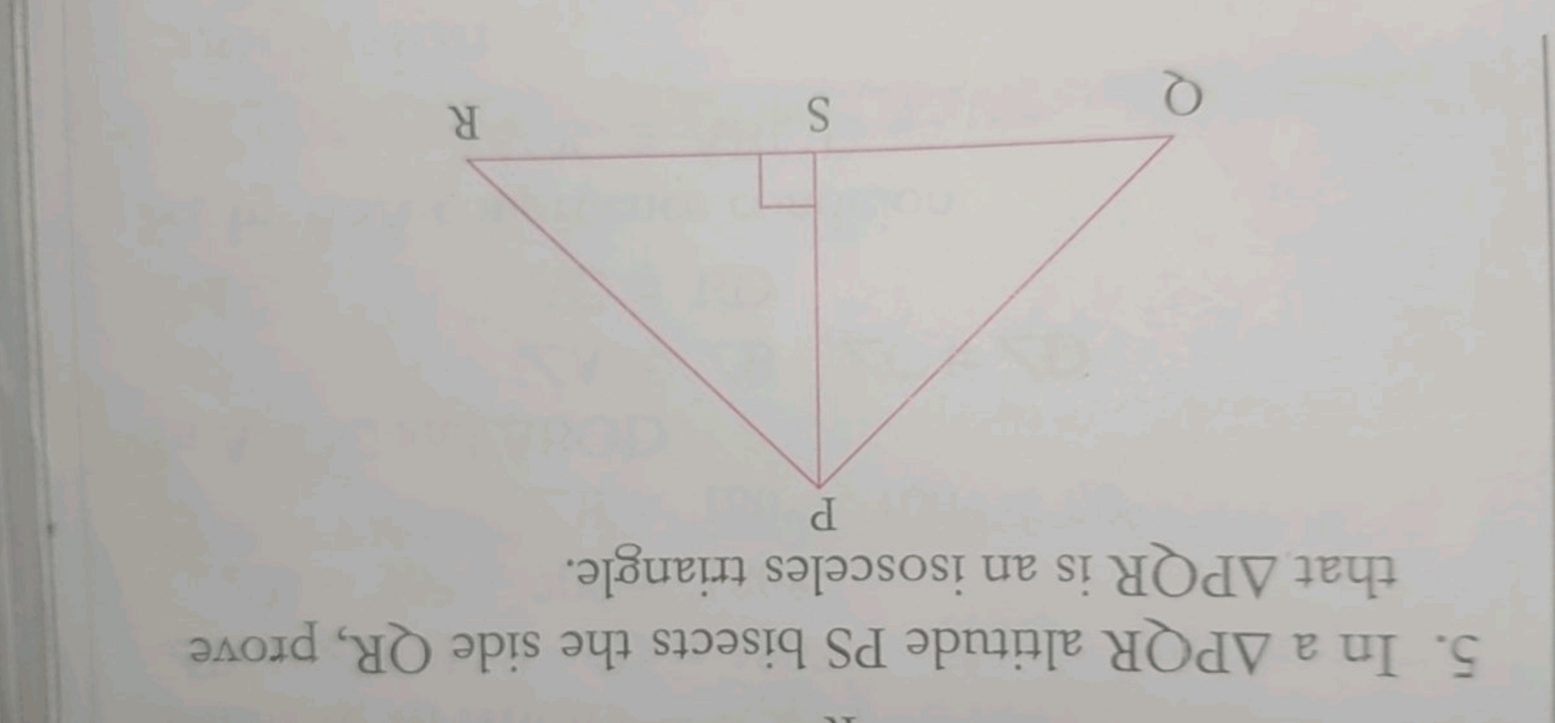 5. In a △PQR altitude PS bisects the side QR , prove that △PQR is an i