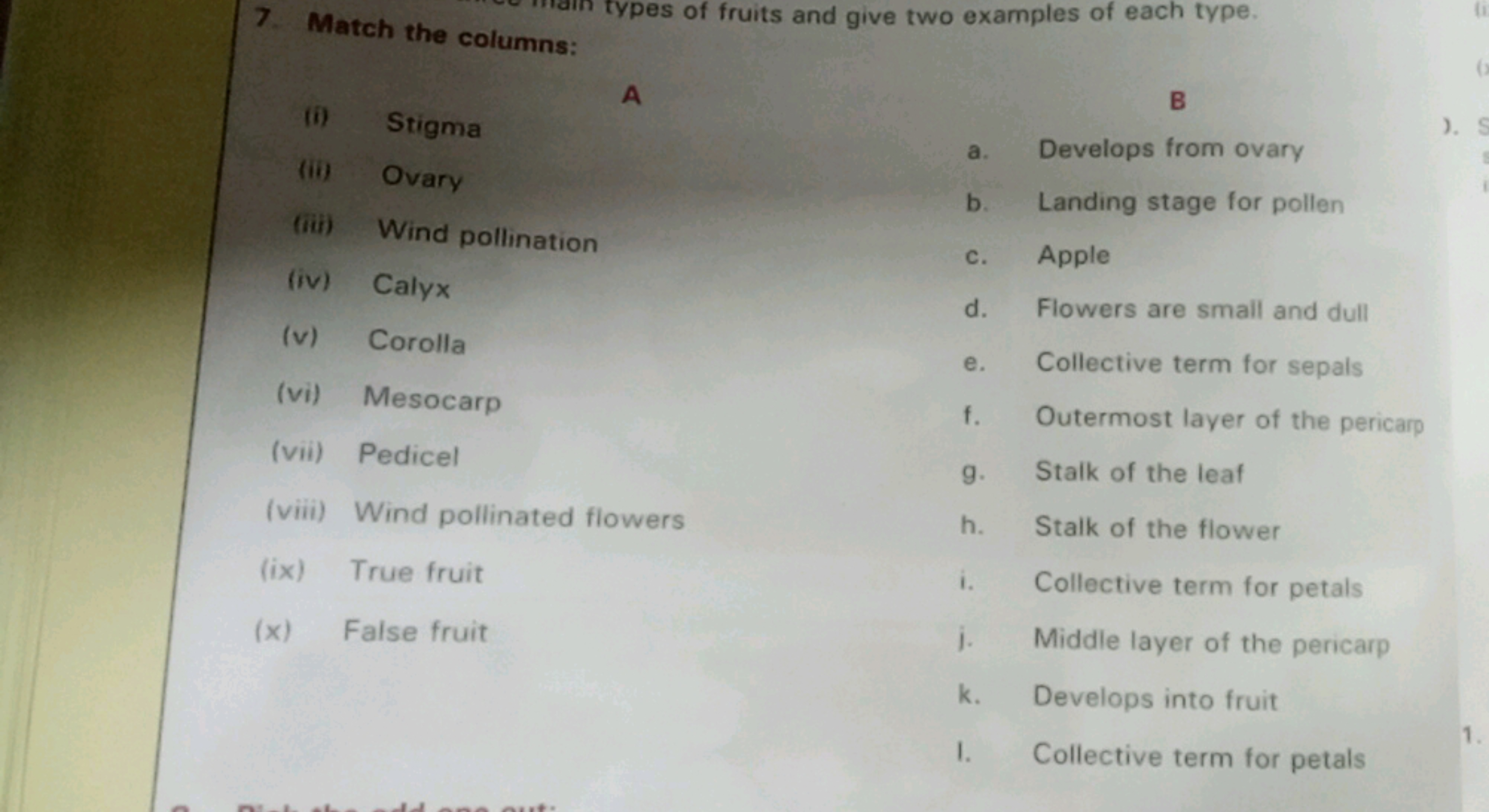 7. Match the columns:
types of fruits and give two examples of each ty