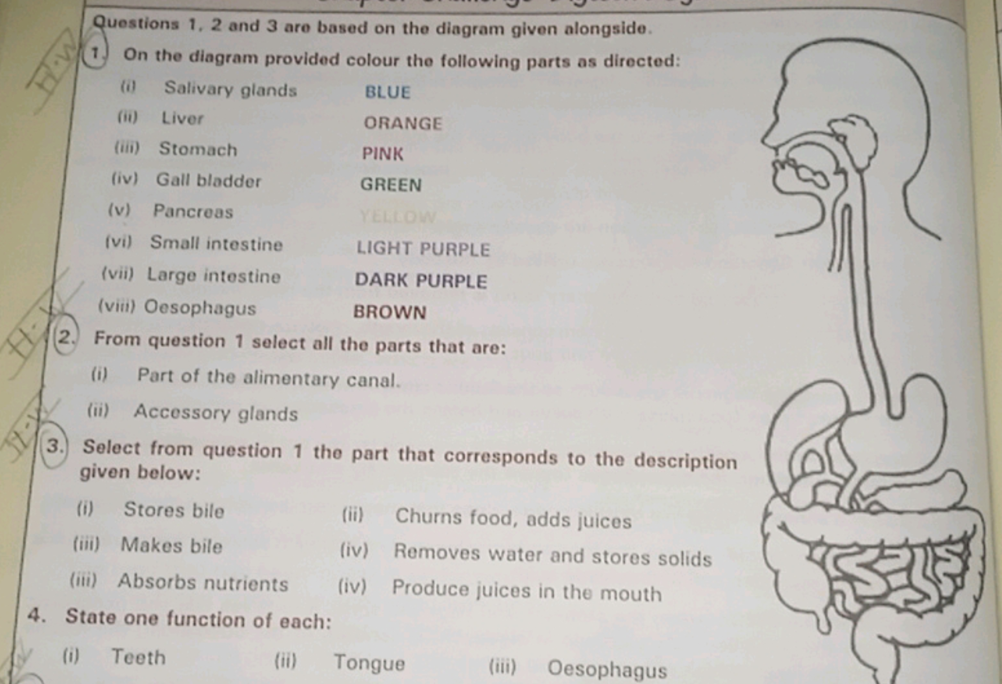 Questions 1, 2 and 3 are based on the diagram given alongside.
1. On t