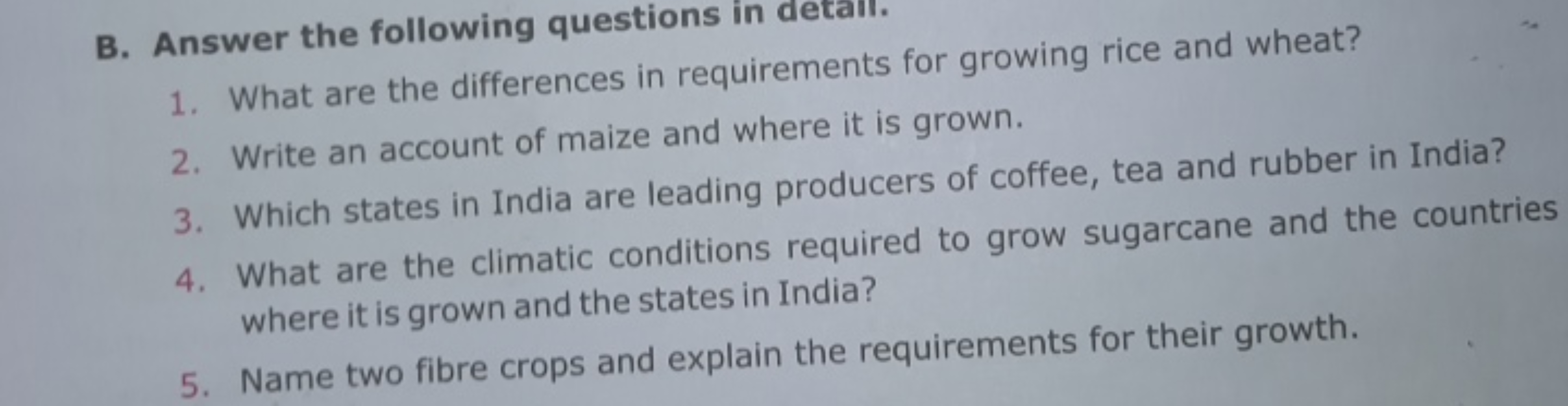 B. Answer the following questions in detall.
1. What are the differenc