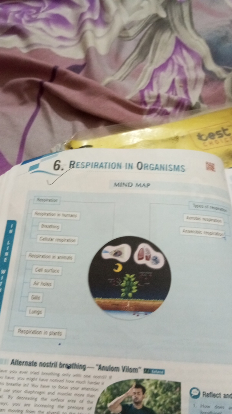 6. RESPIRATION IN ORGANISMS
test
CHOIC
Respiration
Respiration in huma