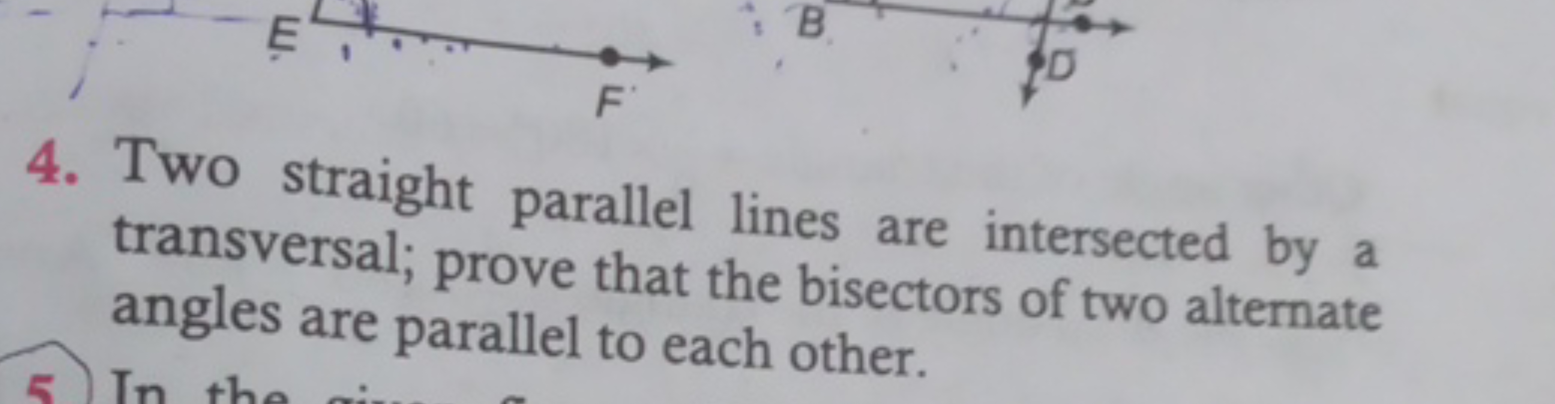 4. Two straight parallel lines are intersected by a transversal; prove