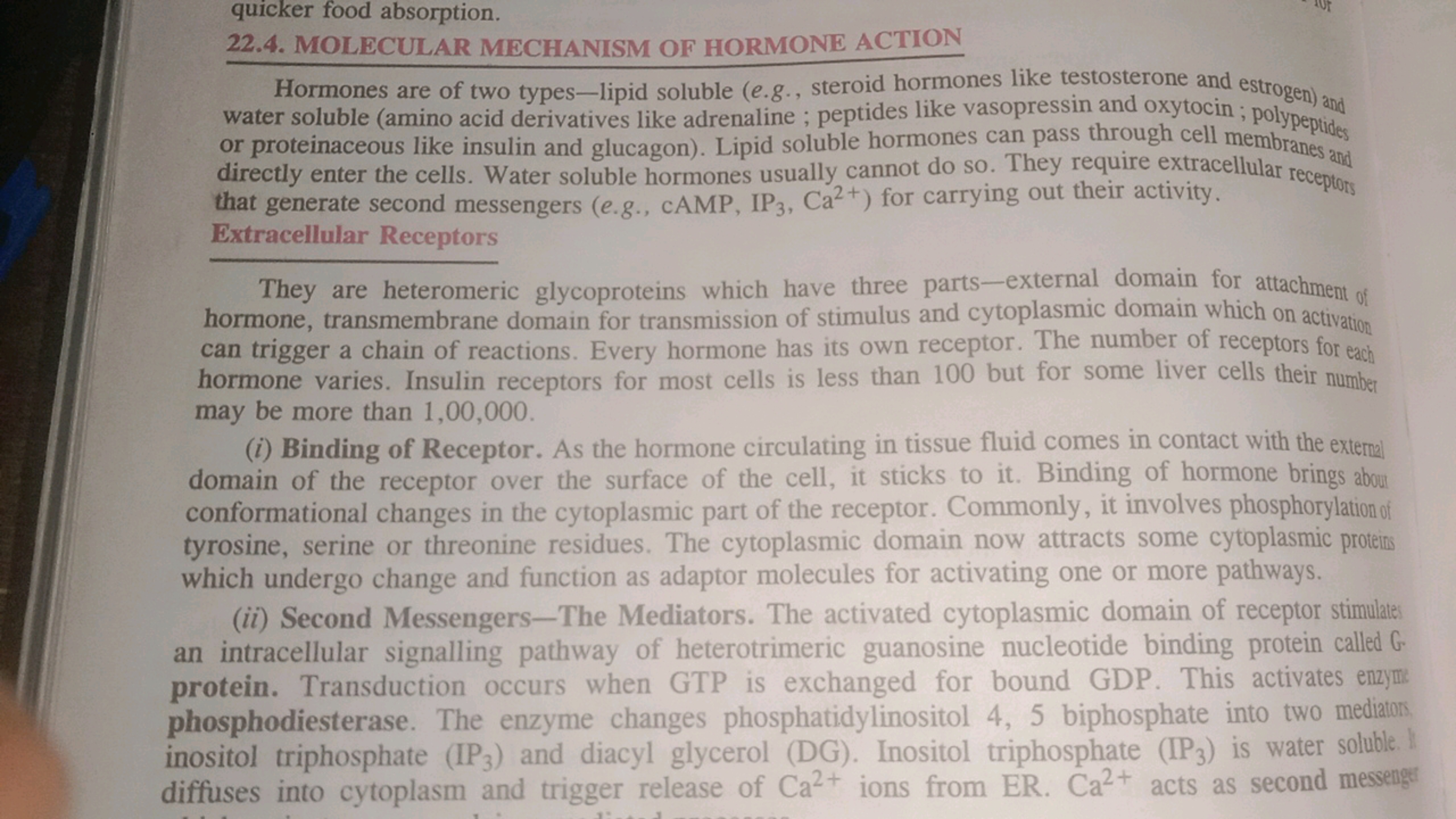 quicker food absorption.
22.4. MOLECULAR MECHANISM OF HORMONE ACTION

