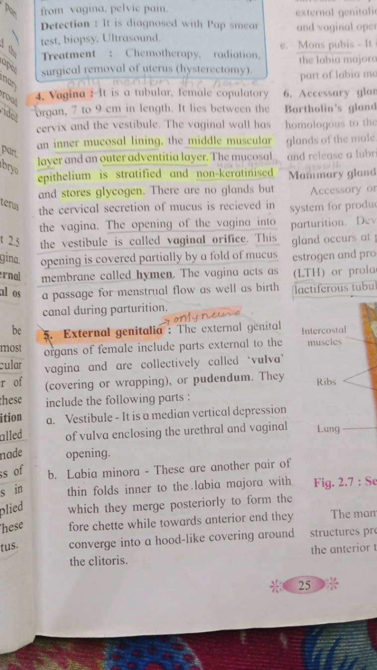 from vagina, pelvic pain.
Detection : It is diagnosed with P'ap smear 