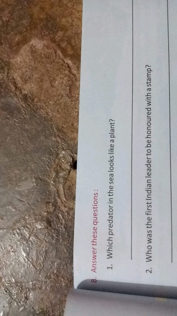 B. Answer these questions:
1. Which predator in the sea looks like a p