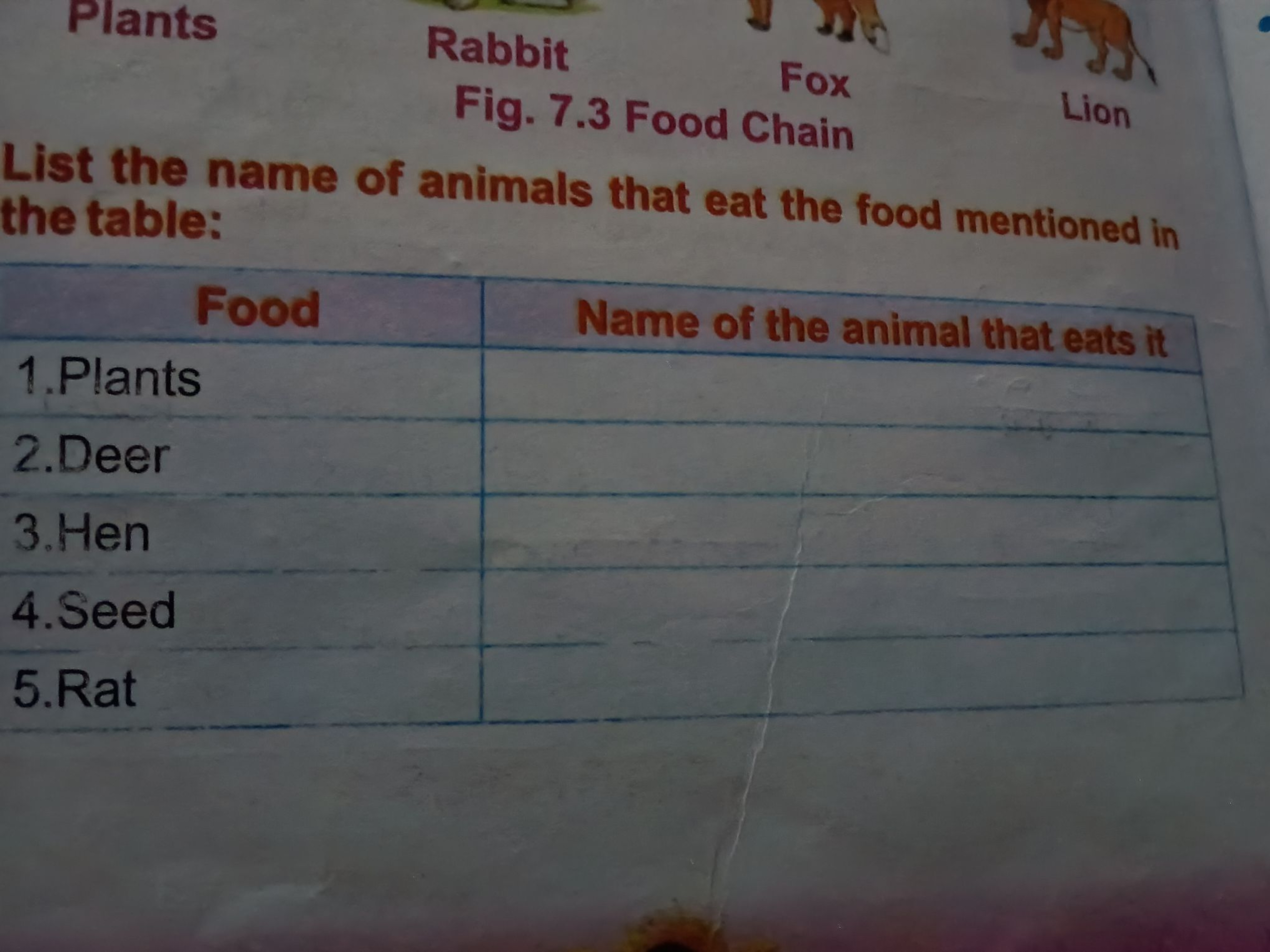 Plants
Rabbit
Fig. 7.3 Food Chain
List the name of animals that eat th