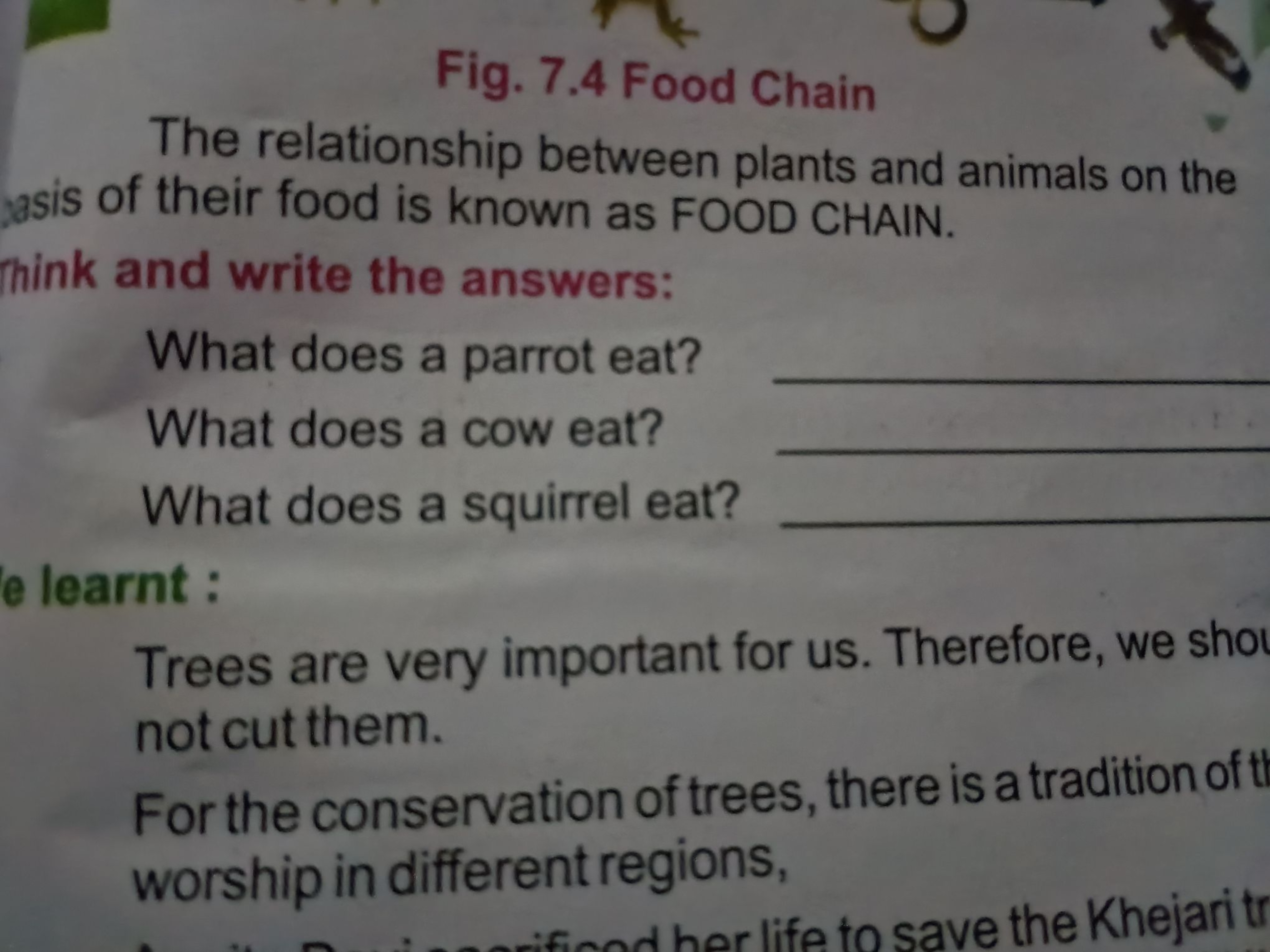 Fig. 7.4 Food Chain
The relationship between plants and animals on the