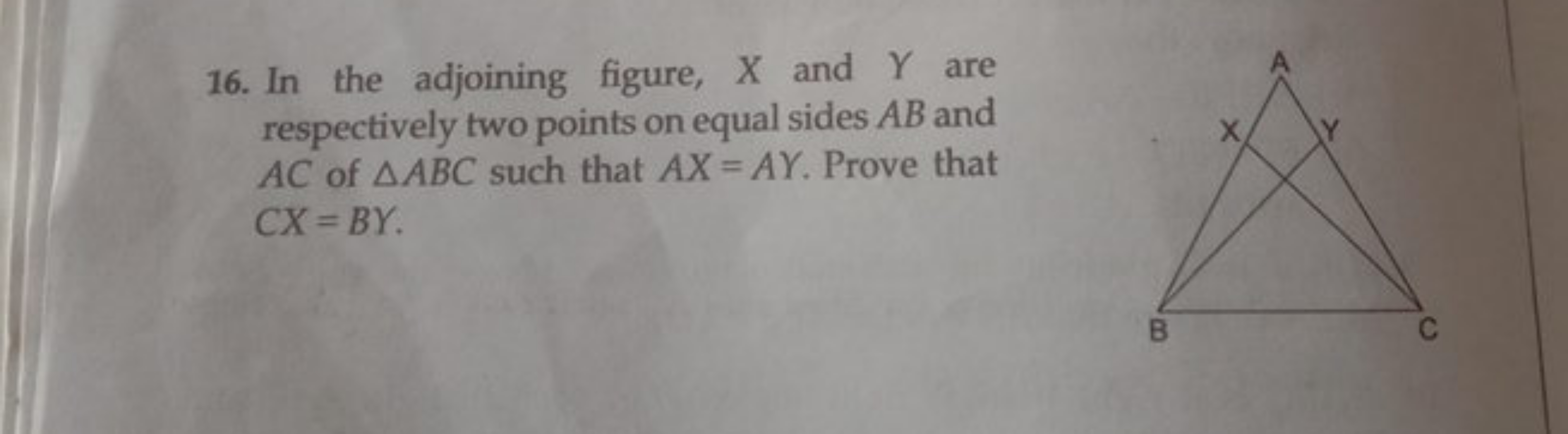 16. In the adjoining figure, X and Y are respectively two points on eq