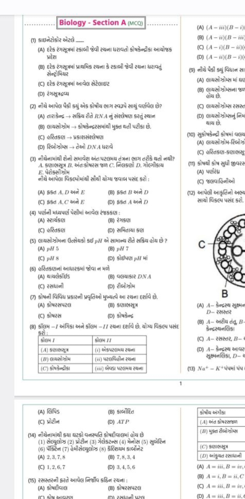 Biology - Section A(MCQ)
(A) (A−iii)(B−i)
(1) કાઇનેટોકોર એટલે ___
(A) 