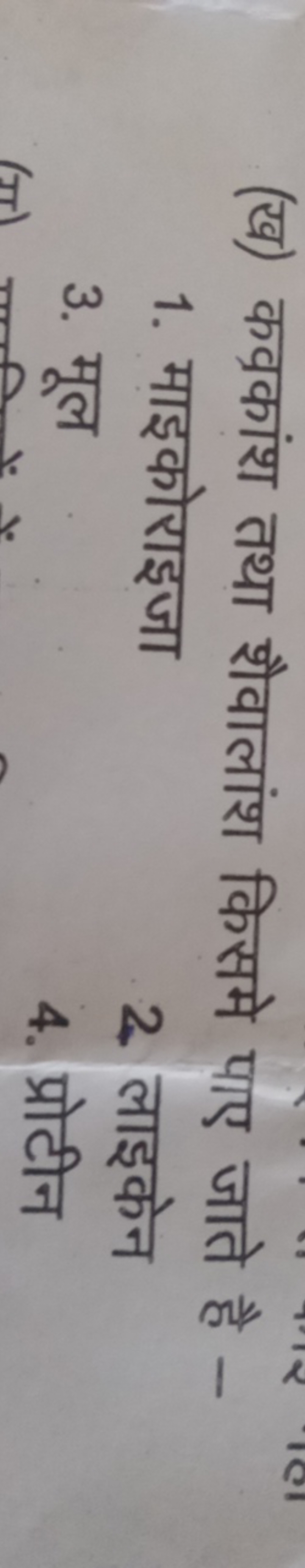 (ख) कवकांश तथा शैवालांश किसमे पाए जाते है -
1. माइकोराइजा
3. मूल
2 लाइ