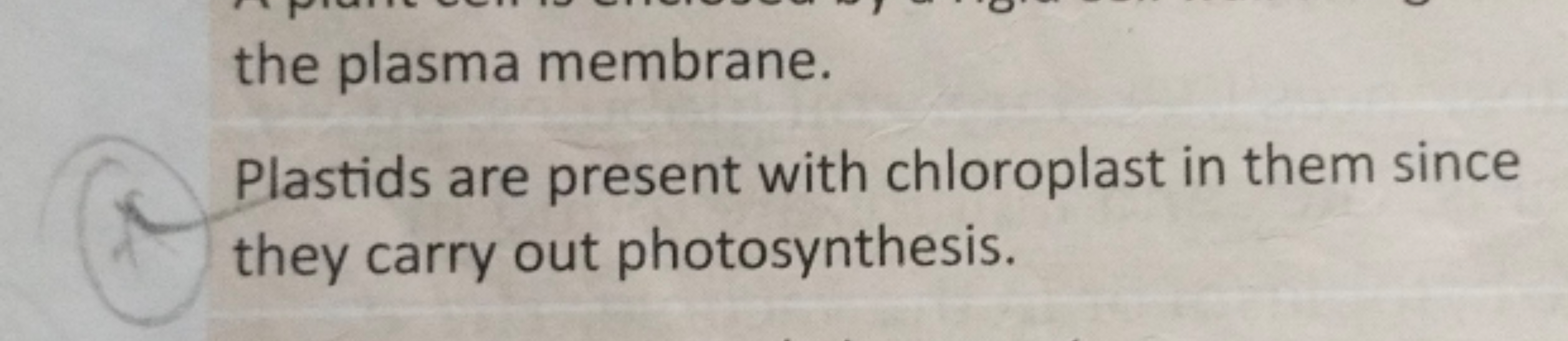 the plasma membrane.
Plastids are present with chloroplast in them sin