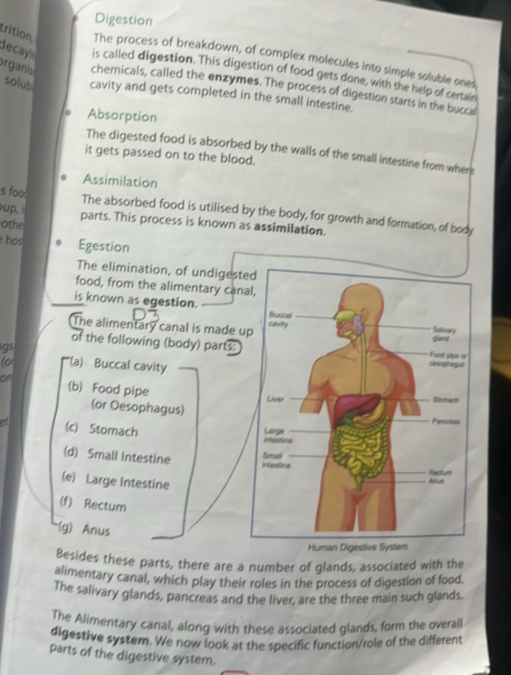 Digestion
The process of breakdown, of complex molecules into simple s