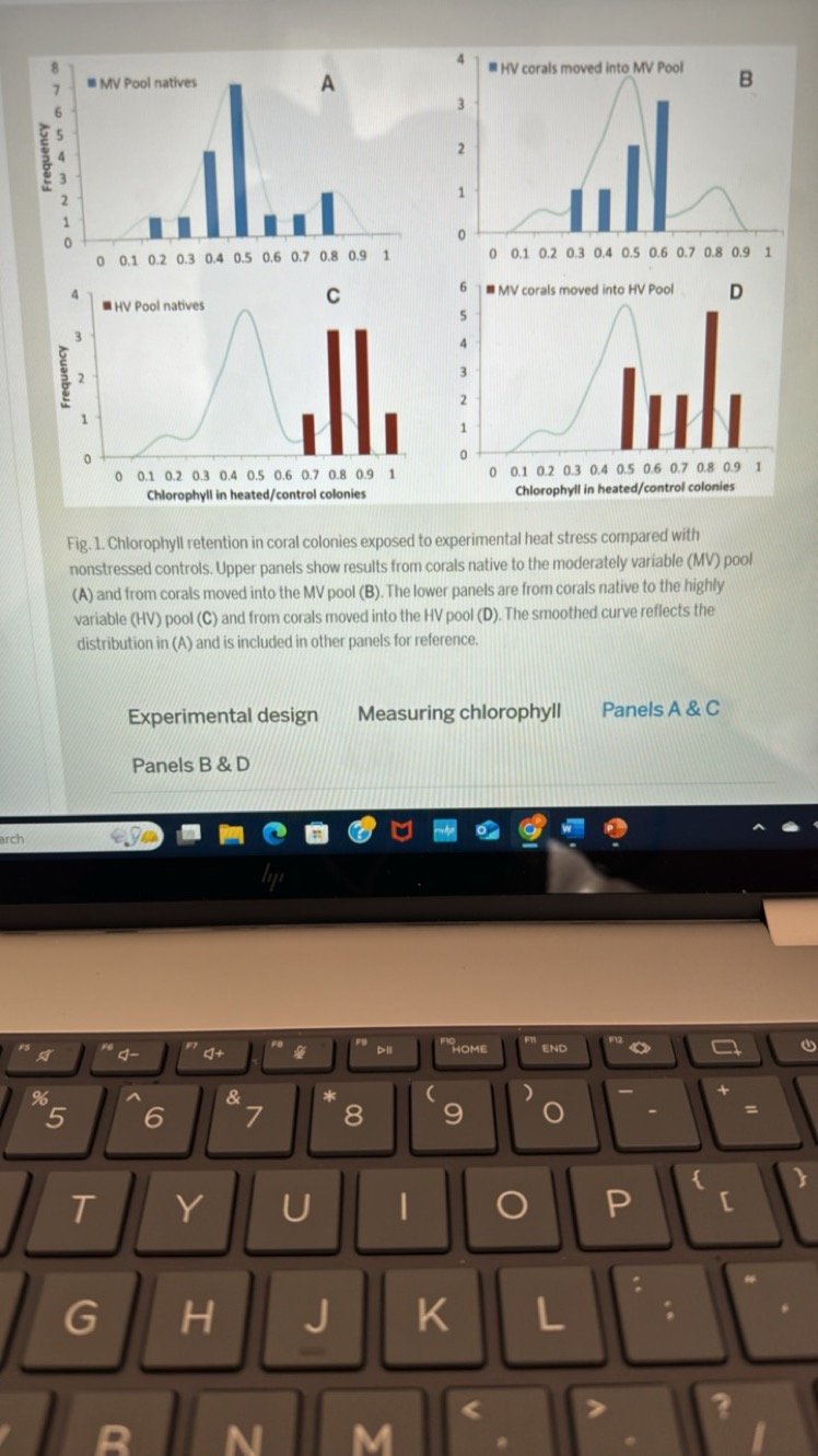 

Fig. 1. Chlorophyll retention in coral colonies exposed to experimen