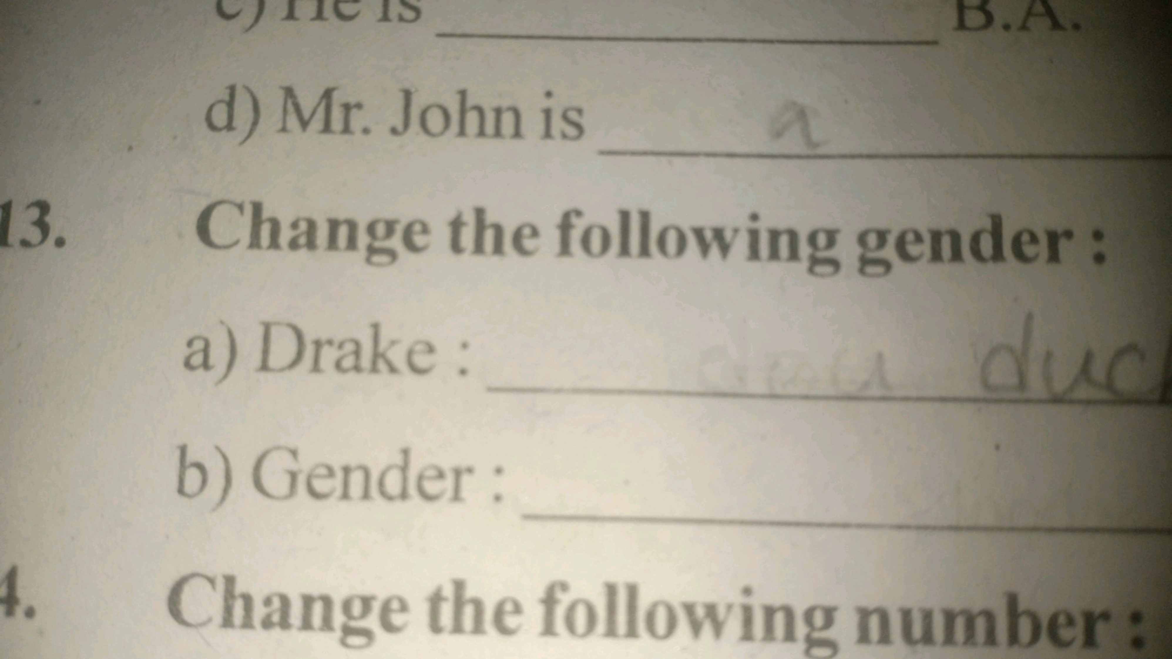 d) Mr. John is 
13. Change the following gender:
a) Drake : 
b) Gender