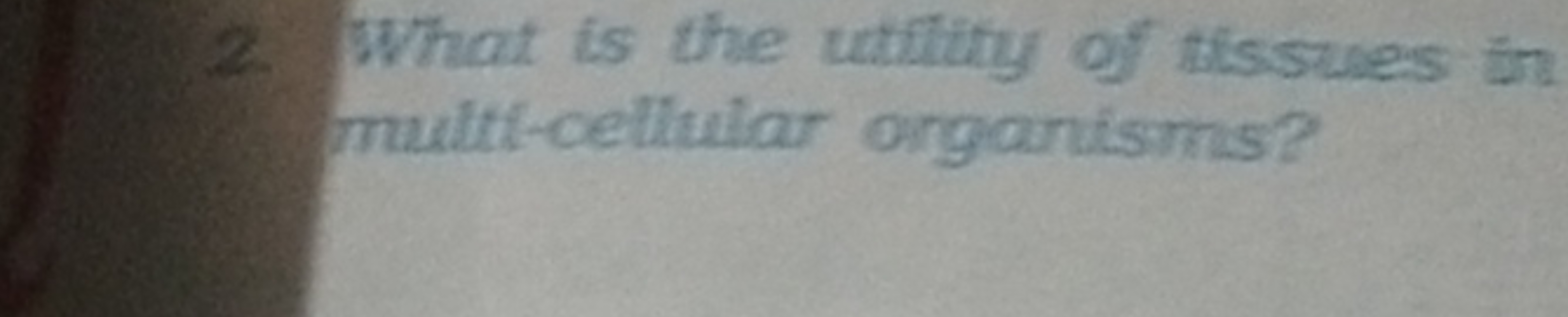 2. What is the utifitity of tilssues in multt-cellular organisms?