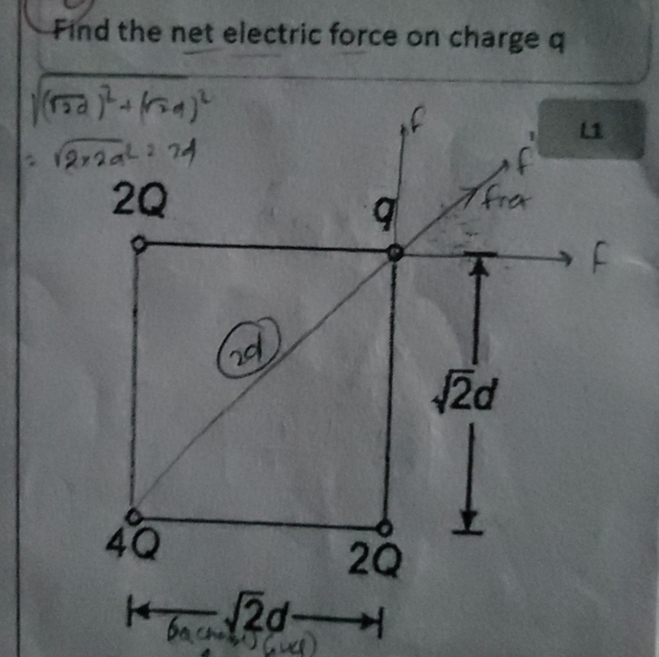 Find the net electric force on charge q